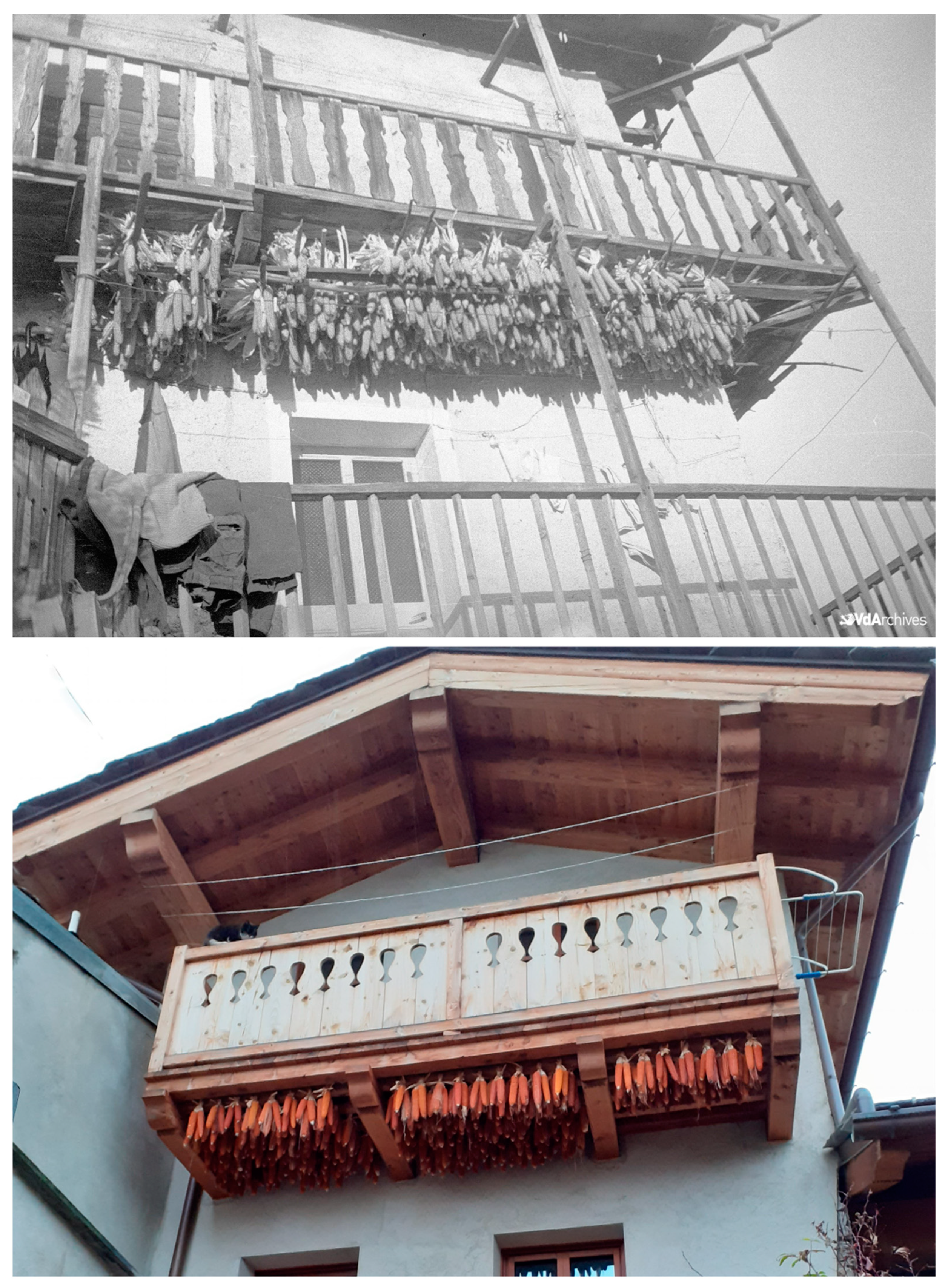 Plants 12 02674 g002