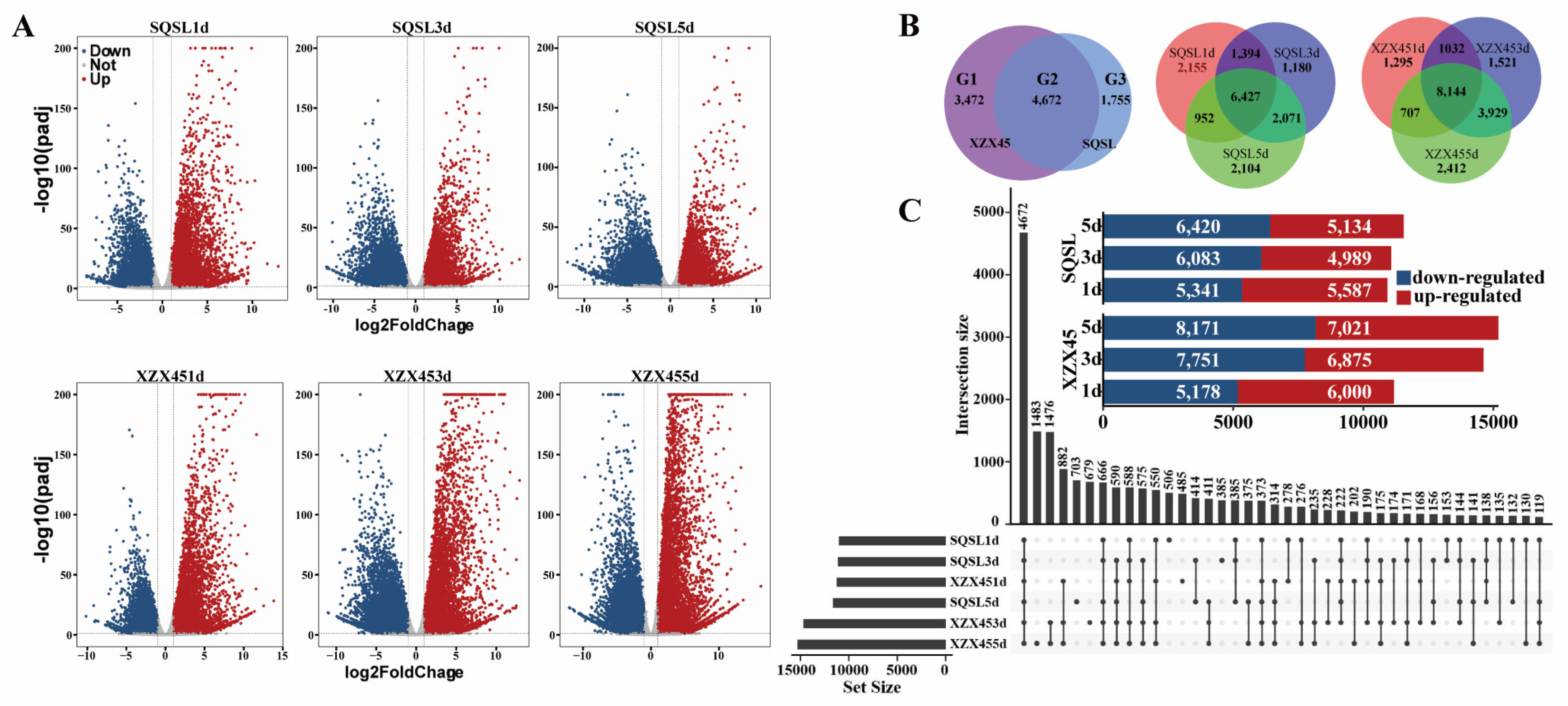 Plants 12 02675 g003