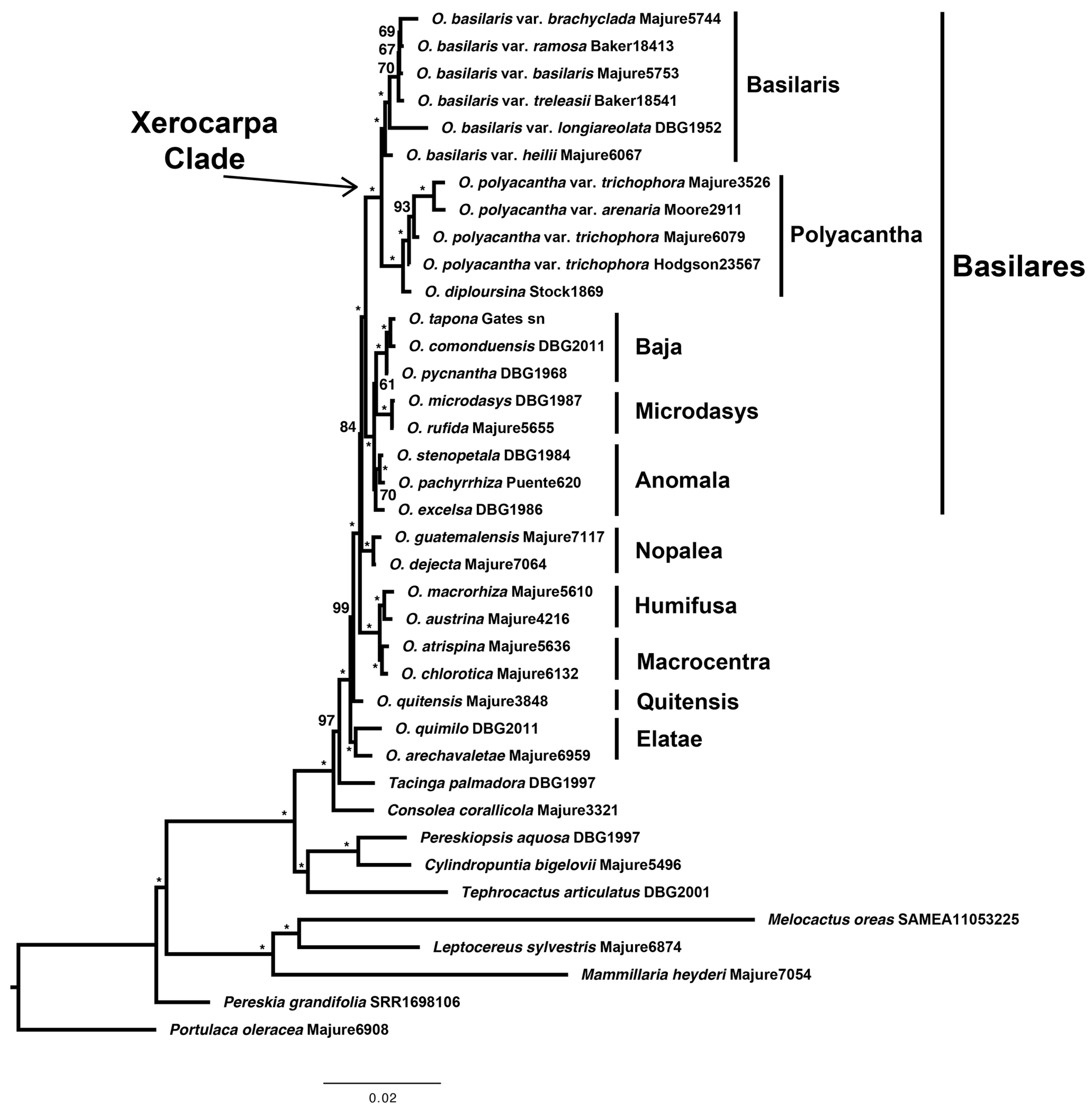 Plants 12 02677 g002