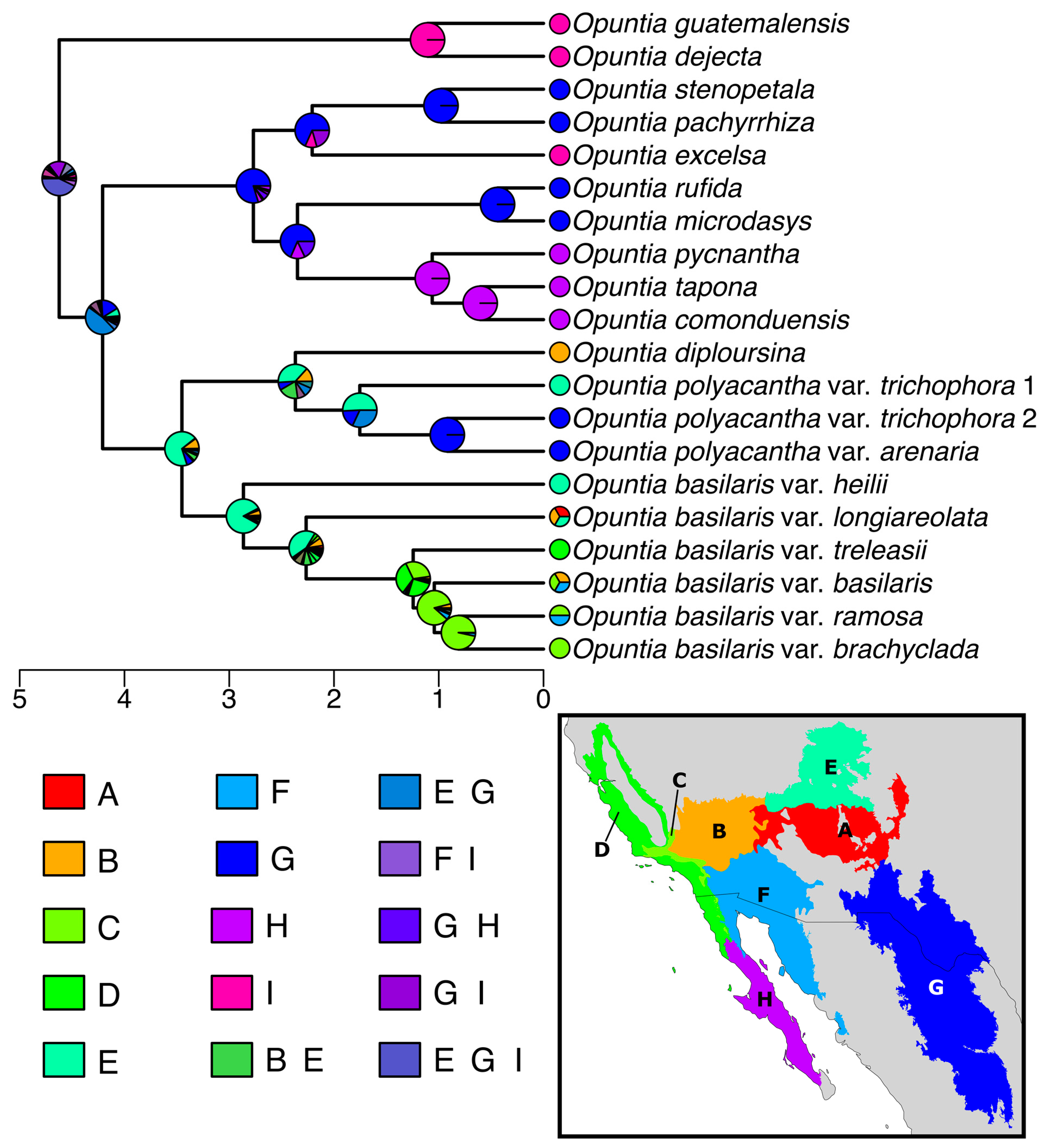 Plants 12 02677 g004