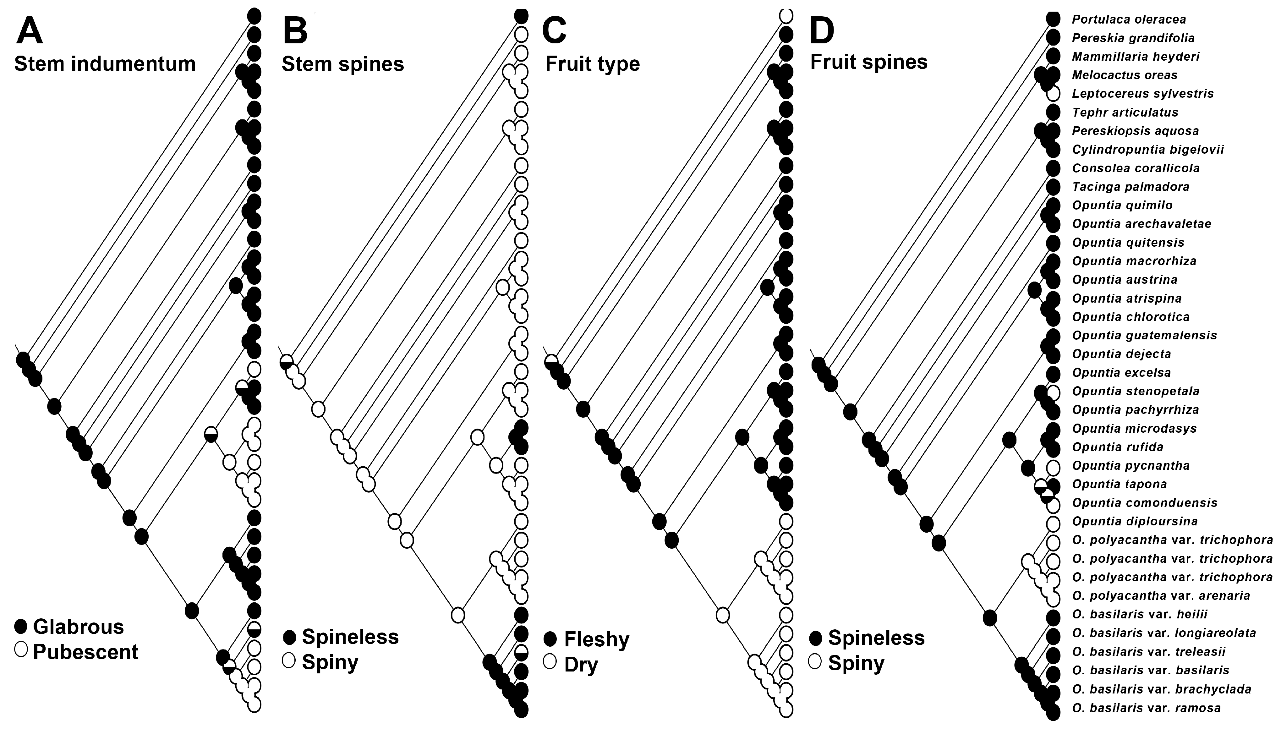 Plants 12 02677 g005