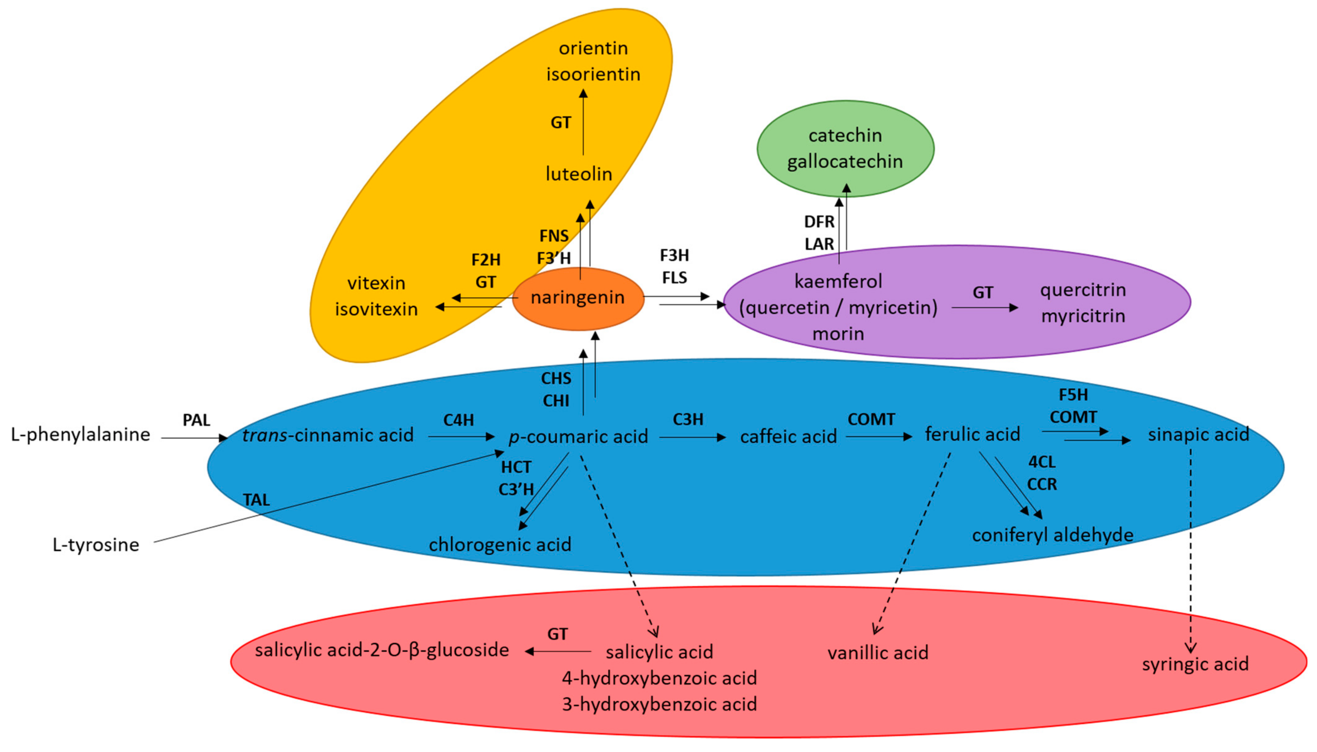 Plants 12 02687 g001