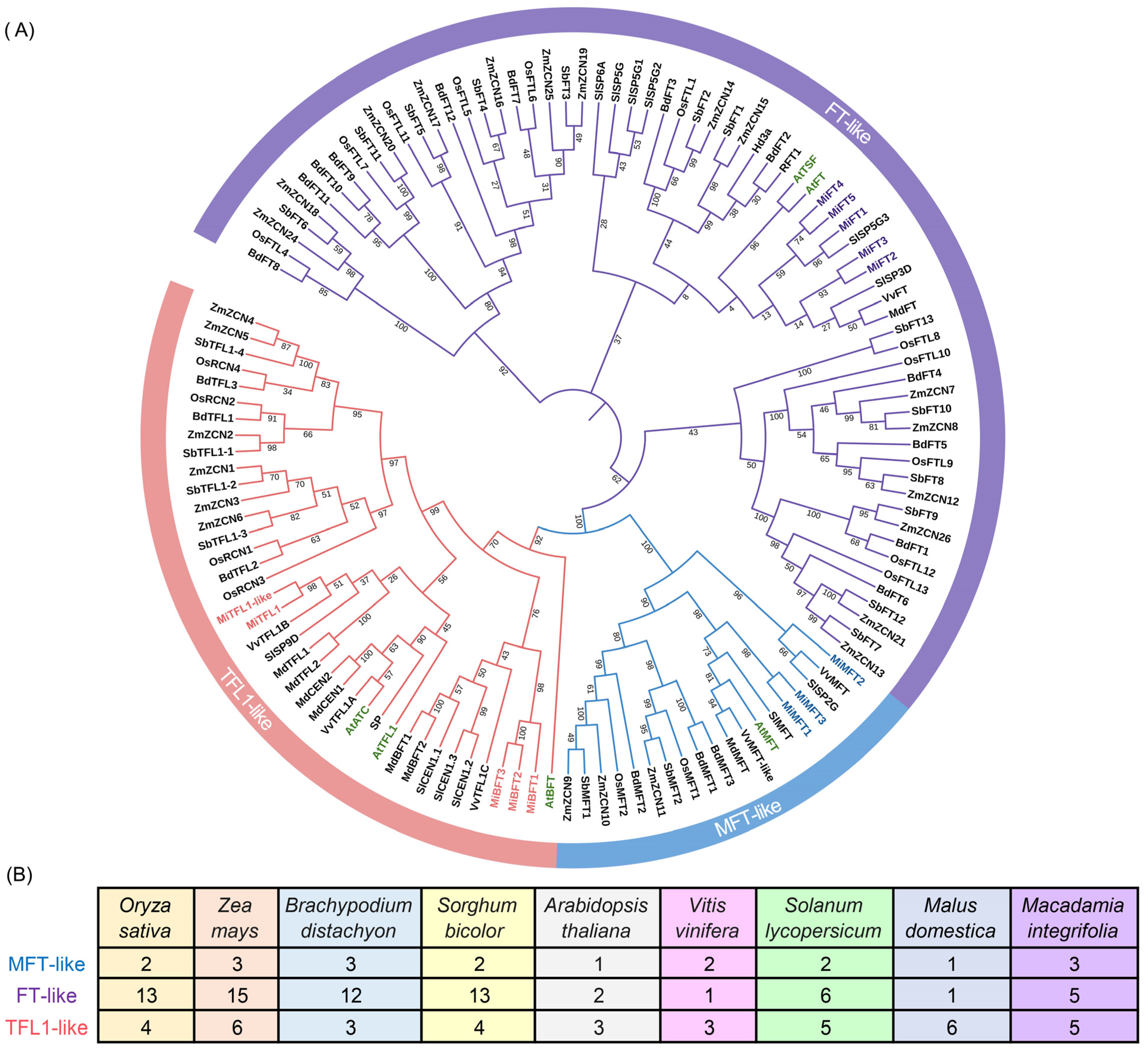 Plants 12 02692 g002