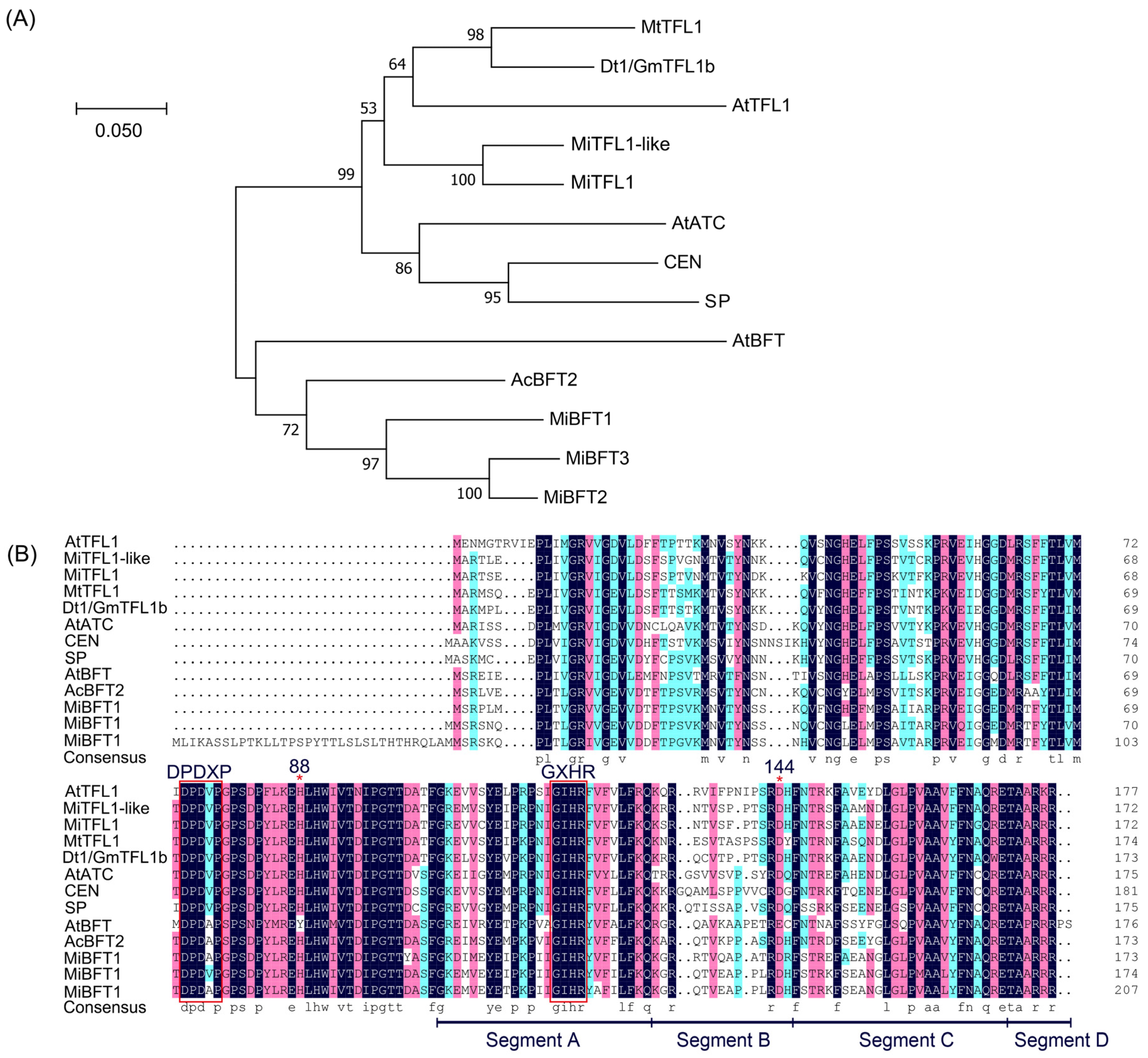 Plants 12 02692 g004