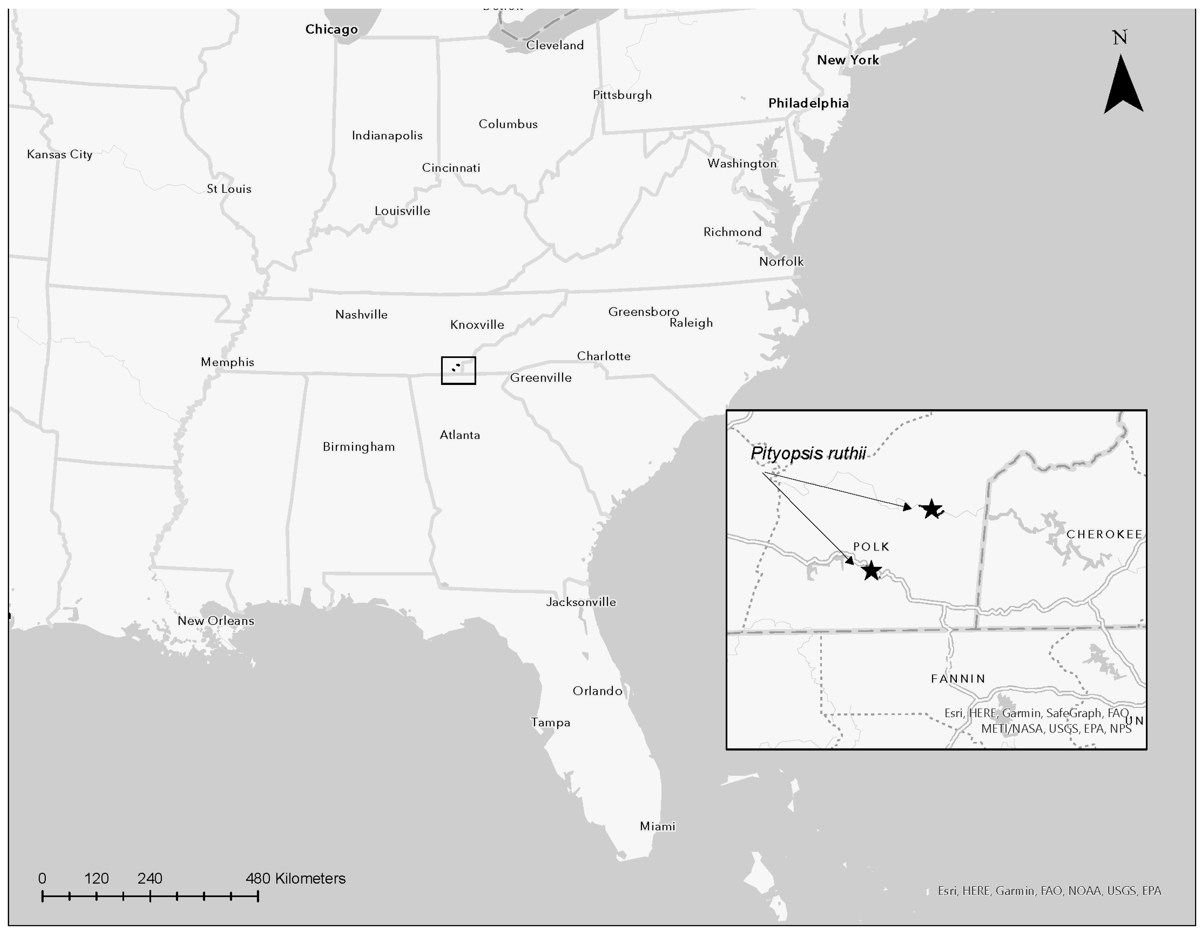 Plants 12 02693 g001