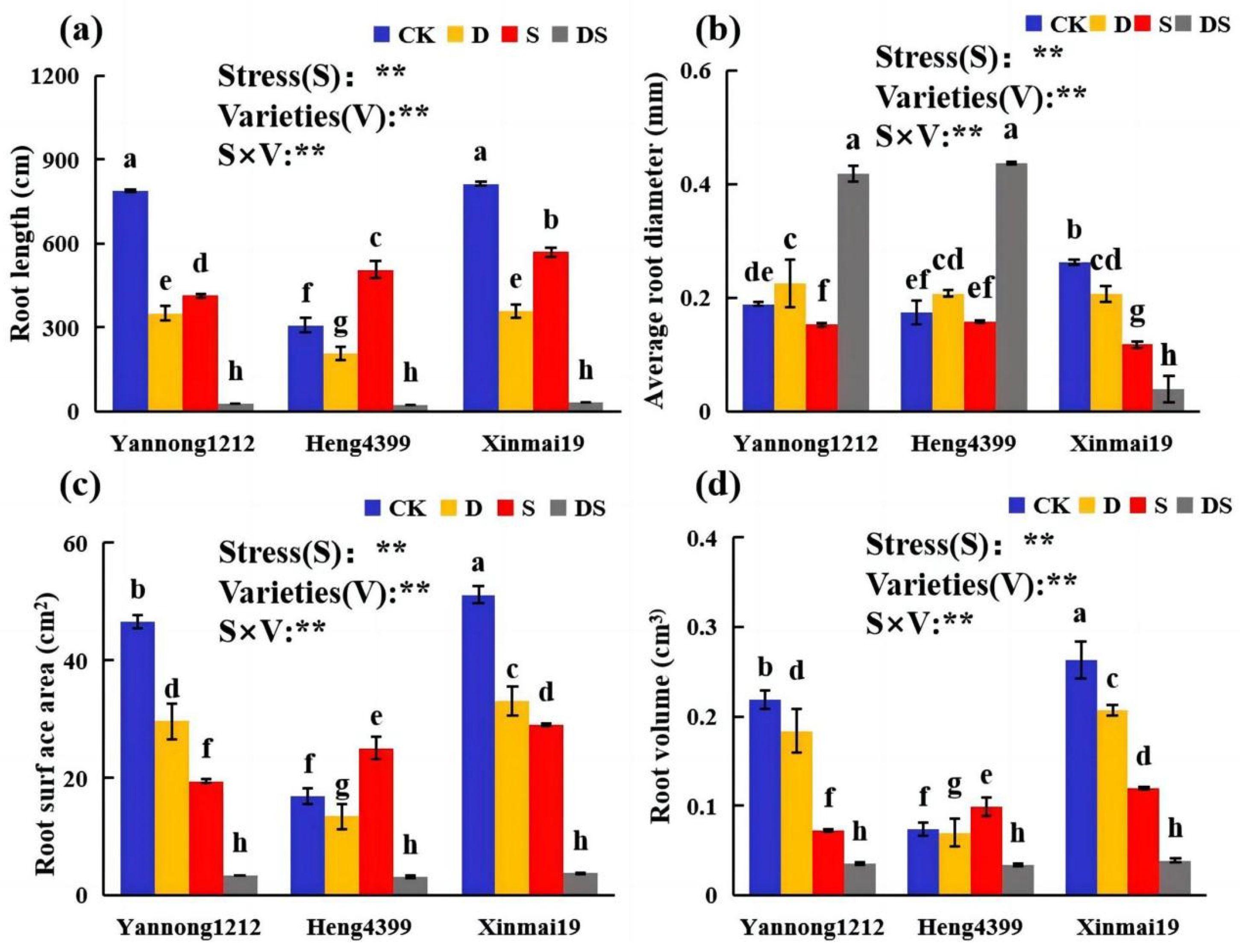 Plants 12 02694 g001 Plants 12 02694 g001