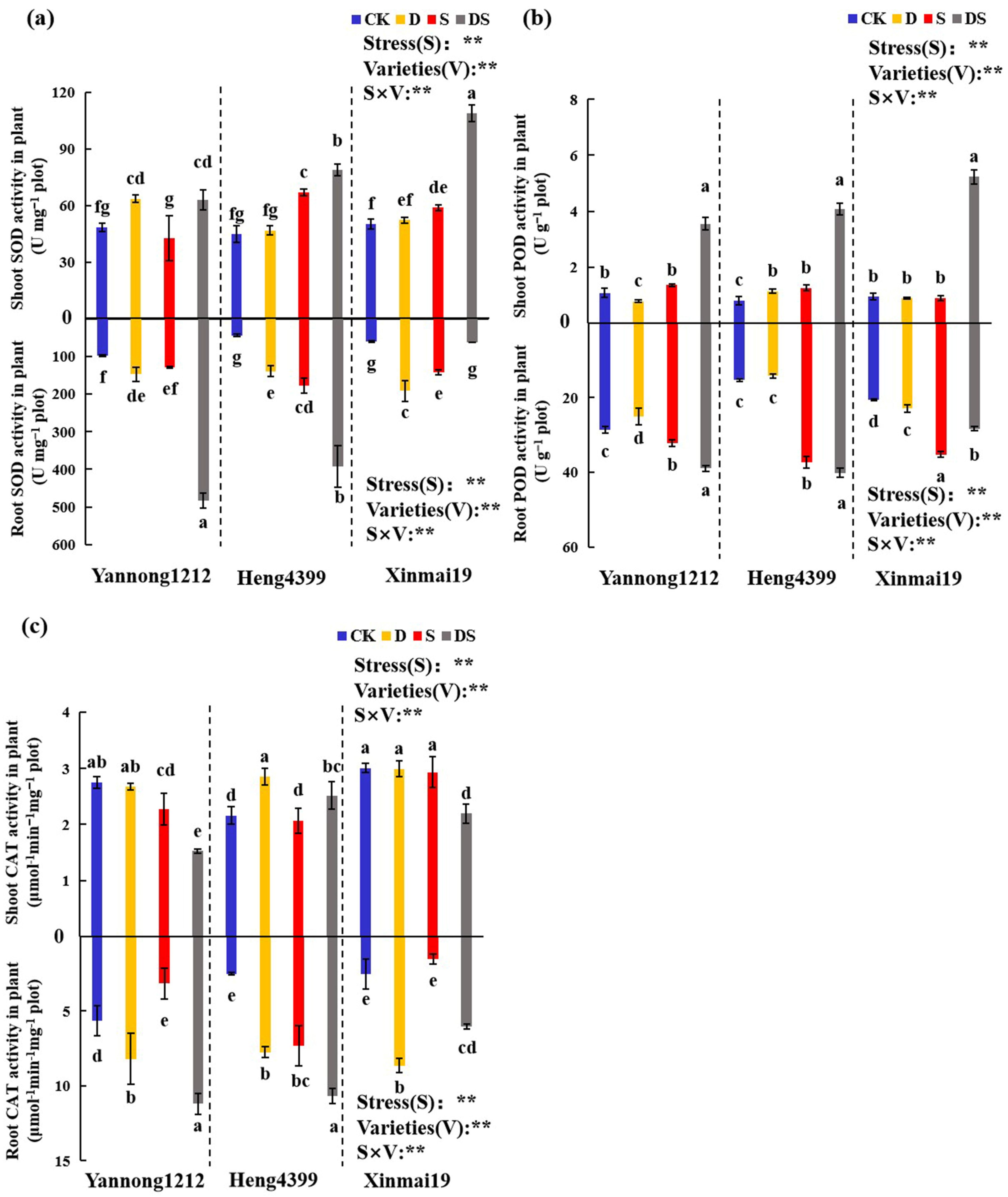 Plants 12 02694 g004 Plants 12 02694 g004