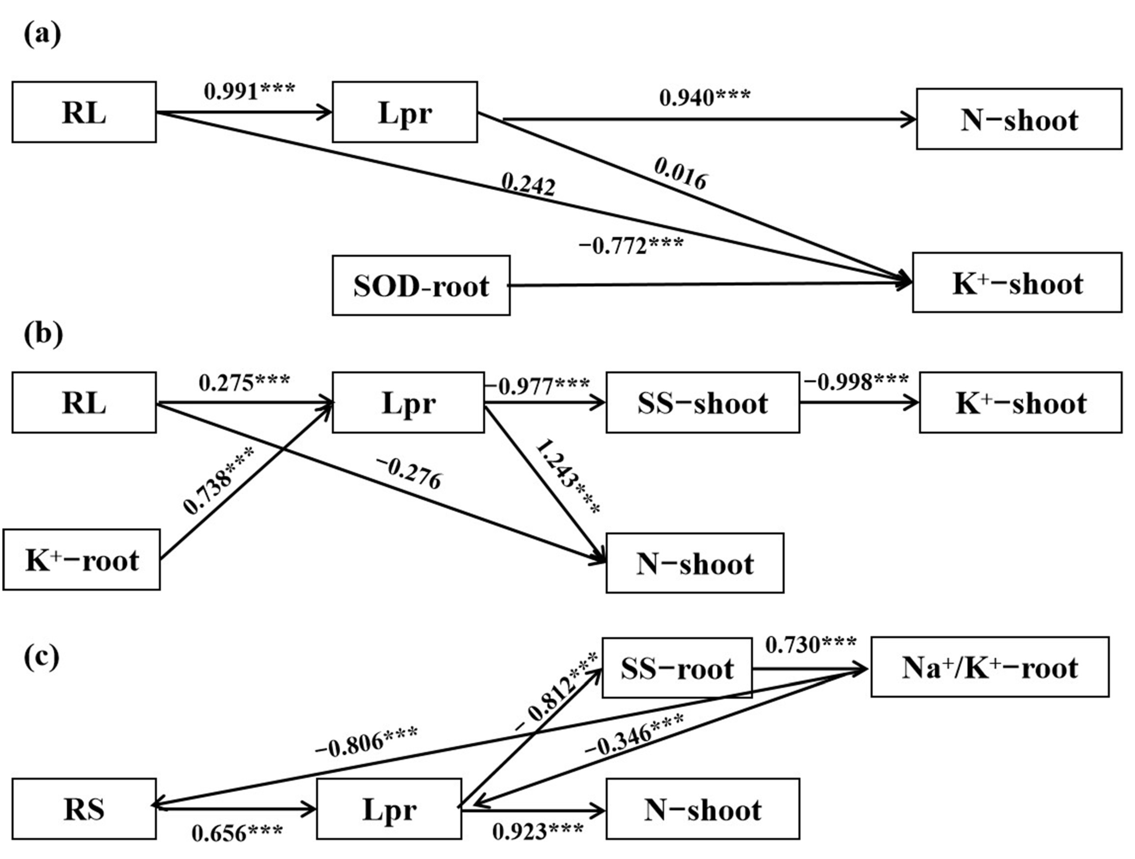Plants 12 02694 g006 Plants 12 02694 g006