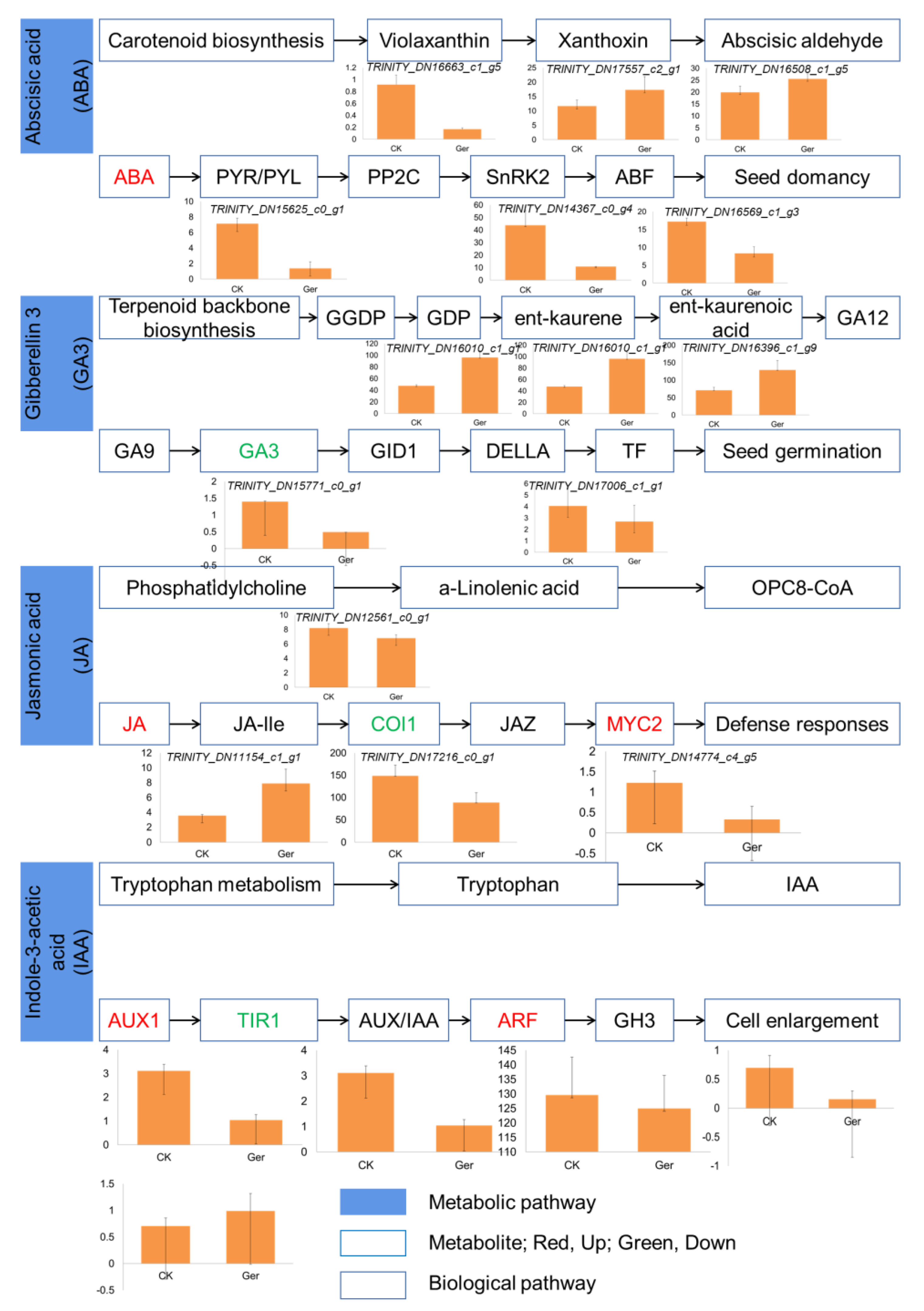 Plants 12 02700 g005