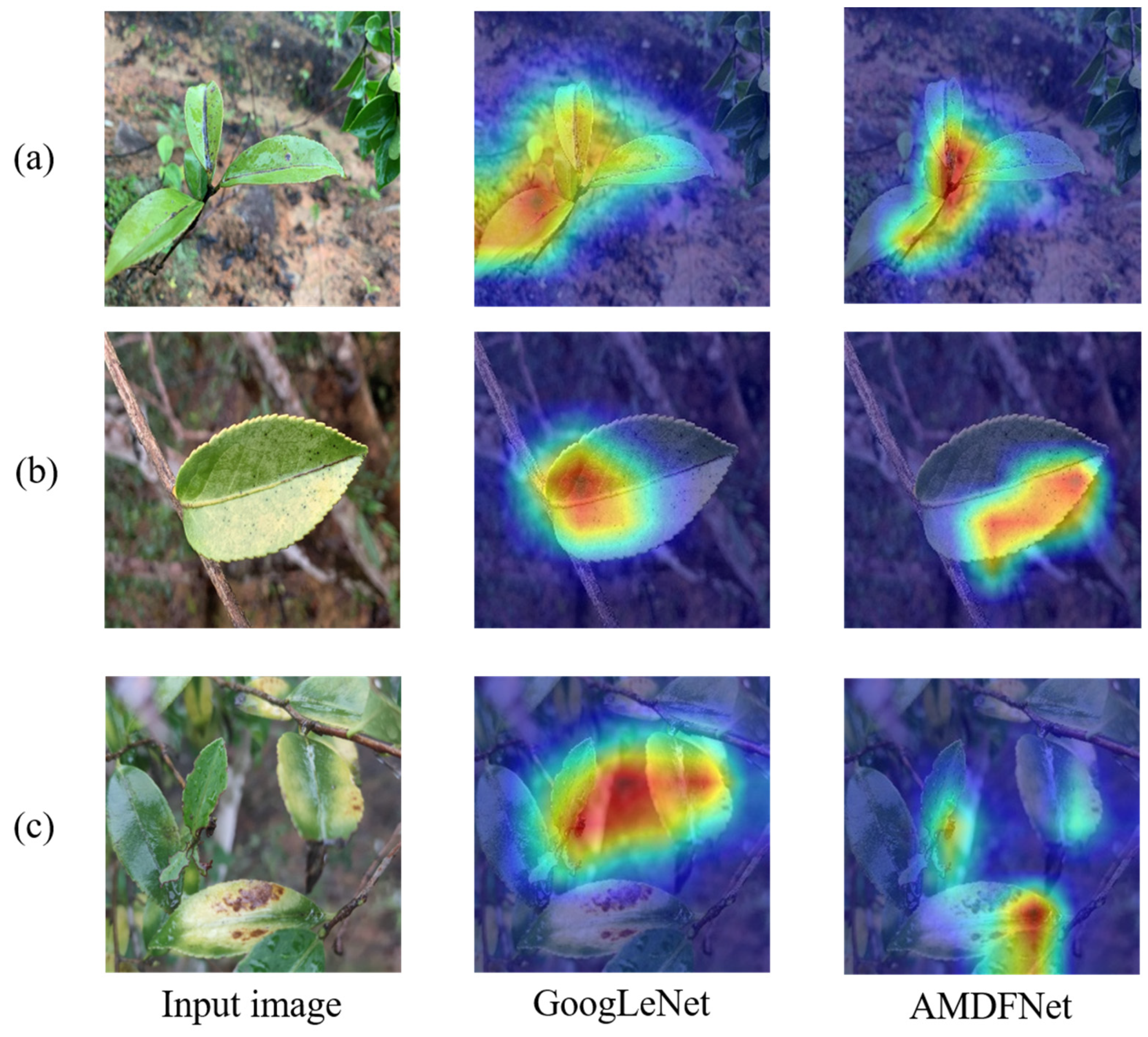 Plants 12 02701 g003 Plants 12 02701 g003