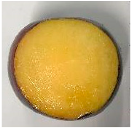 Plants 12 02711 i002 Plants 12 02711 i002