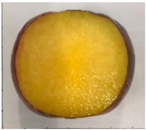 Plants 12 02711 i004 Plants 12 02711 i004