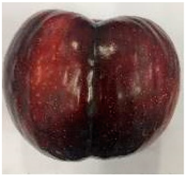 Plants 12 02711 i005 Plants 12 02711 i005