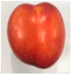 Plants 12 02711 i009 Plants 12 02711 i009