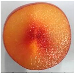 Plants 12 02711 i010 Plants 12 02711 i010