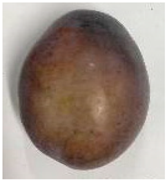 Plants 12 02711 i013 Plants 12 02711 i013