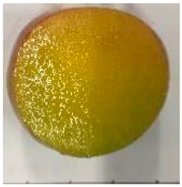 Plants 12 02711 i016 Plants 12 02711 i016