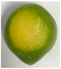 Plants 12 02711 i018 Plants 12 02711 i018