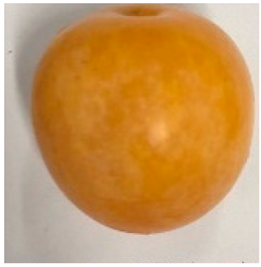 Plants 12 02711 i019 Plants 12 02711 i019