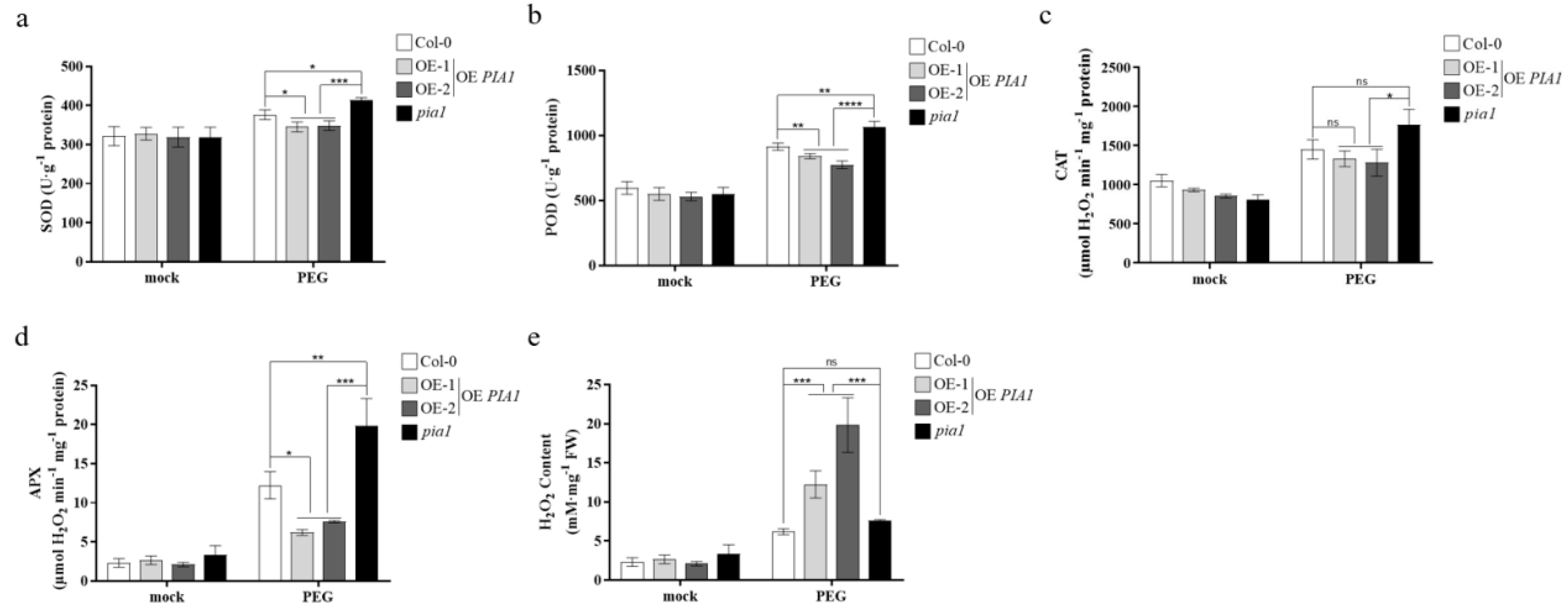 Plants 12 02716 g004 Plants 12 02716 g004