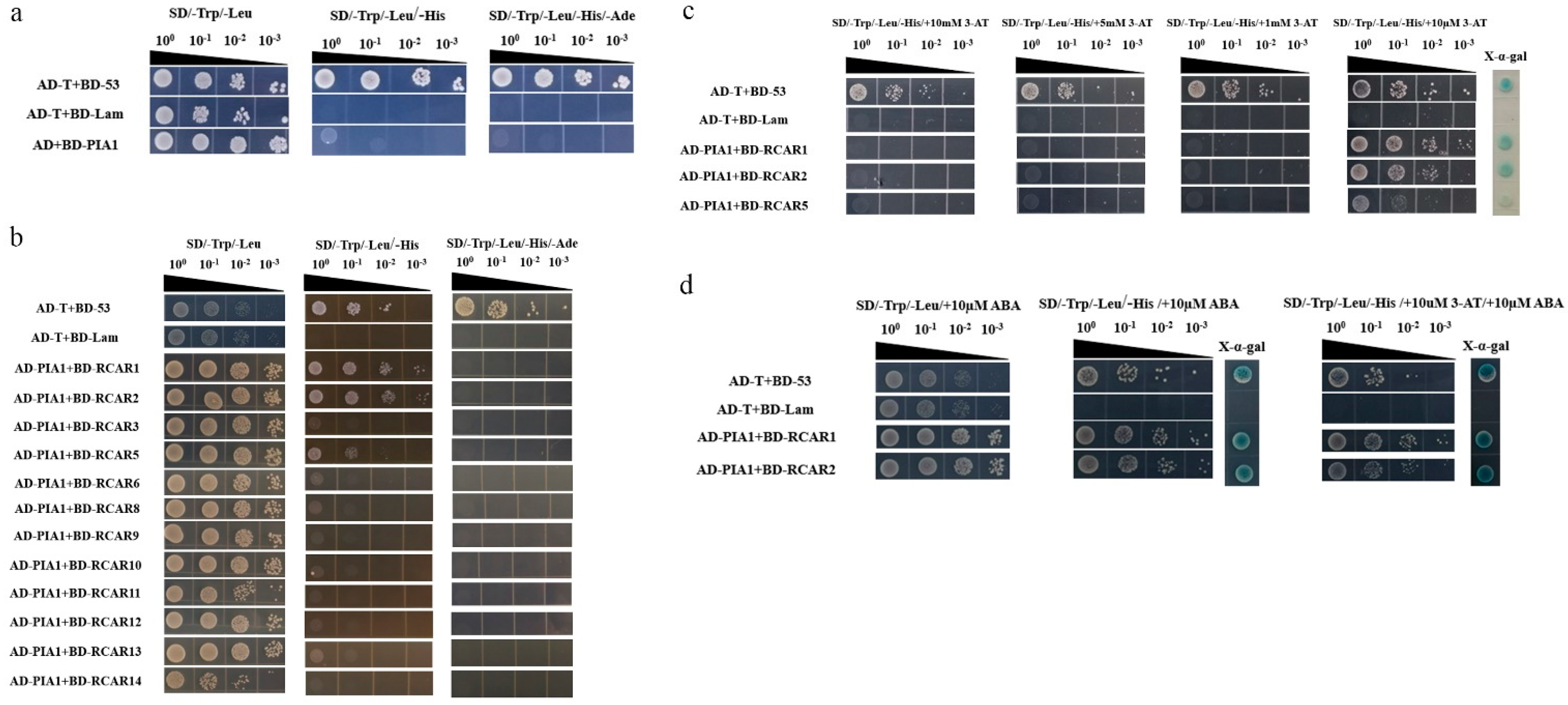 Plants 12 02716 g006 Plants 12 02716 g006