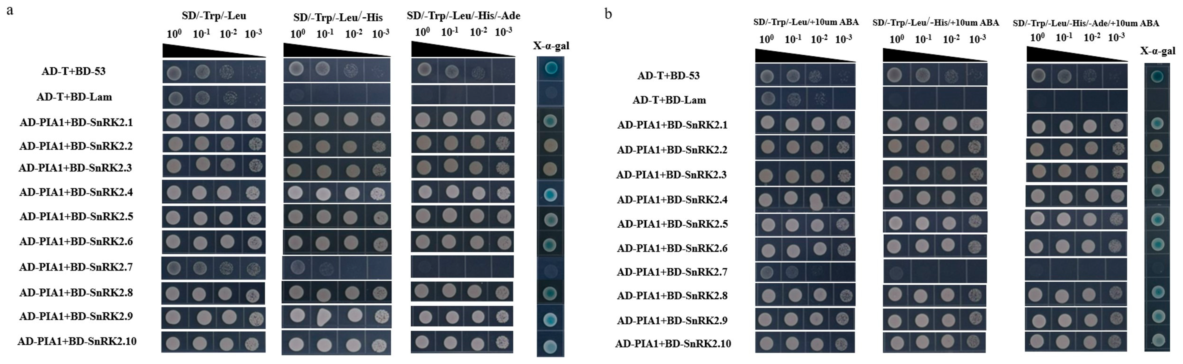 Plants 12 02716 g007 Plants 12 02716 g007