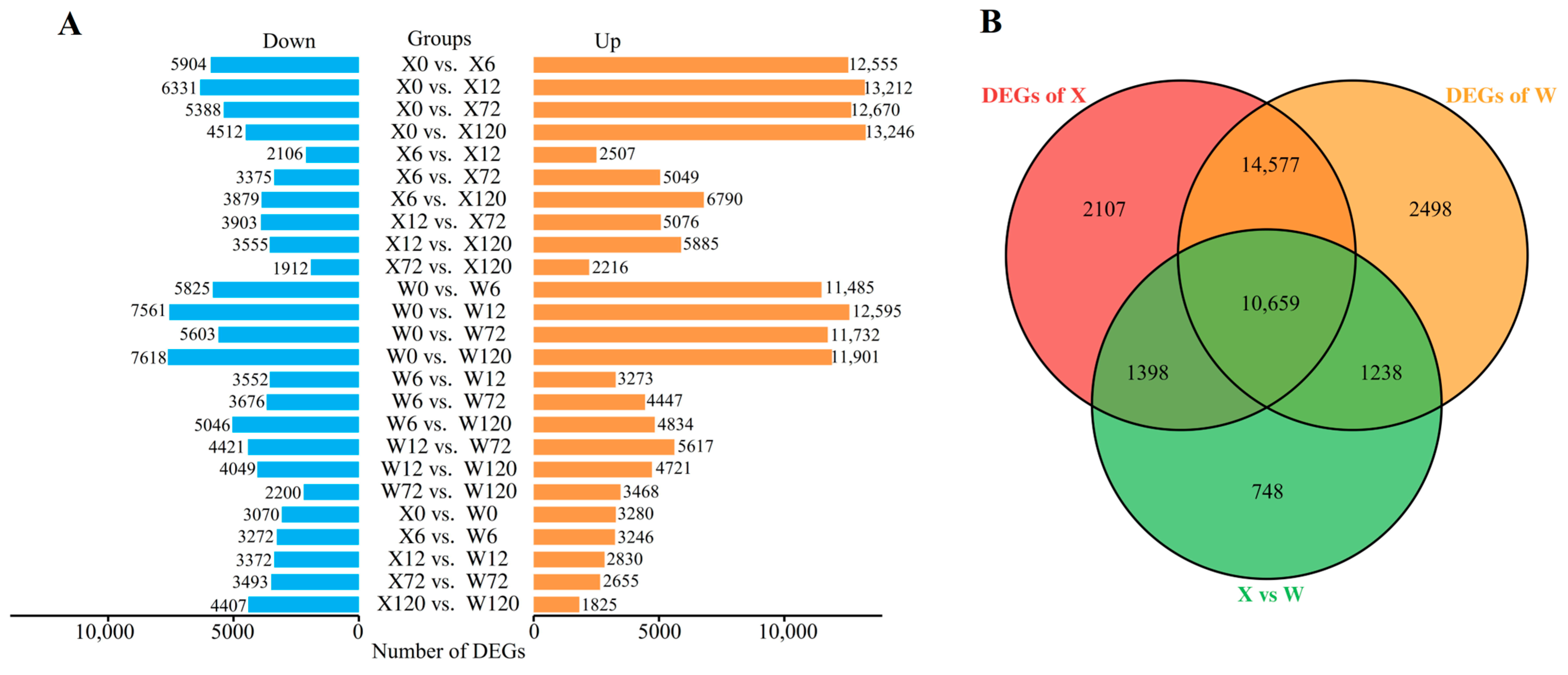 Plants 12 02719 g003