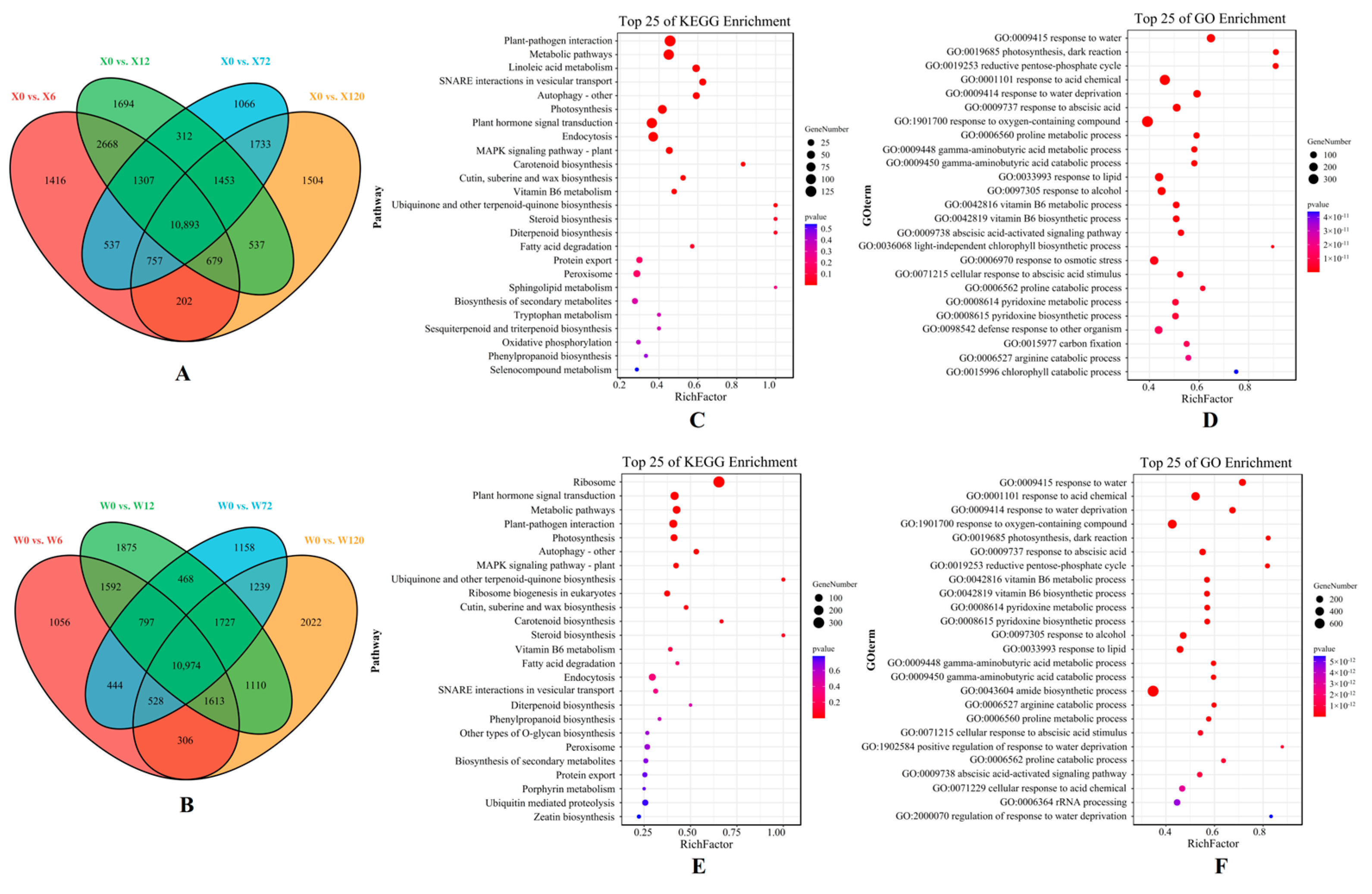 Plants 12 02719 g004