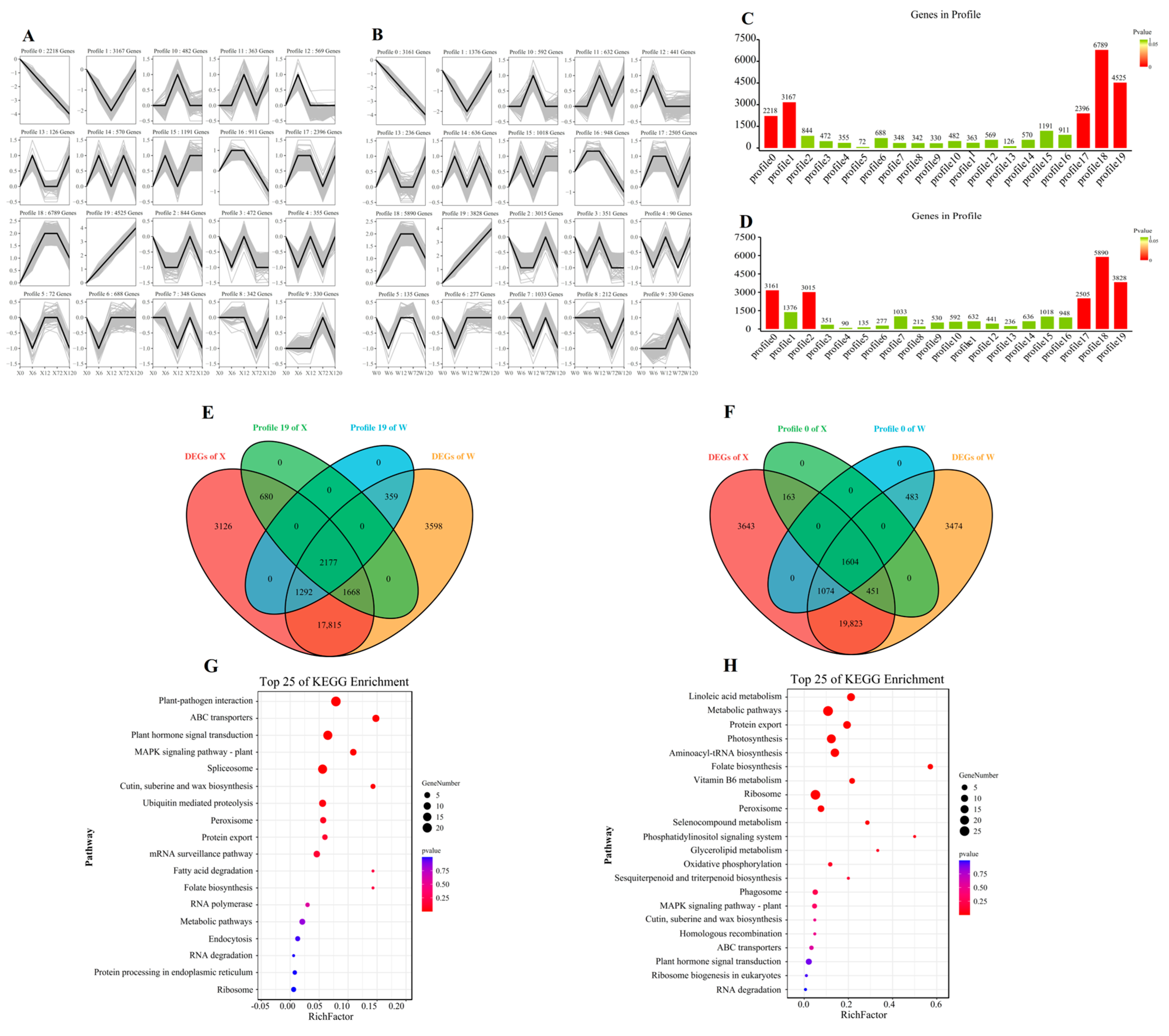 Plants 12 02719 g006
