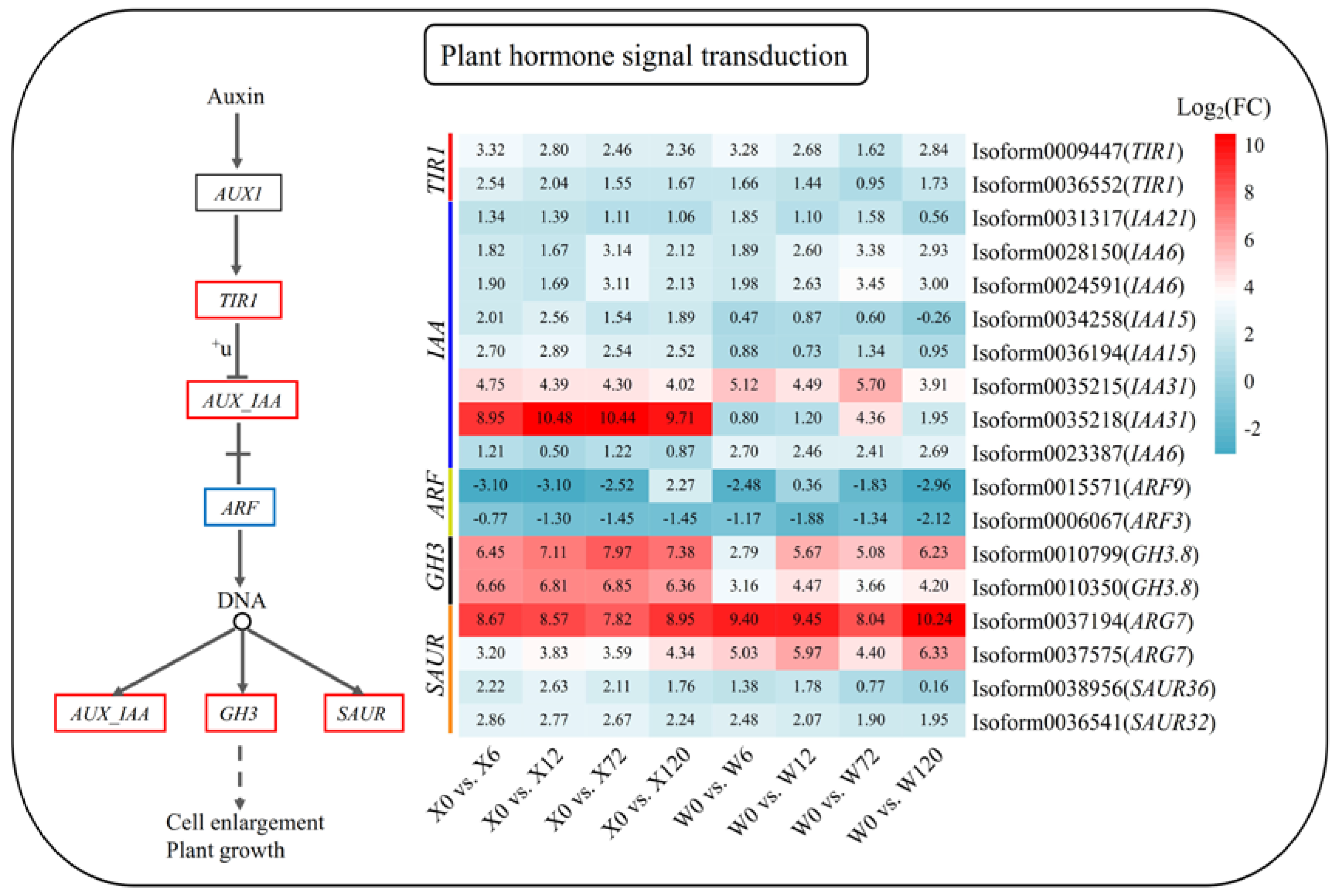 Plants 12 02719 g007