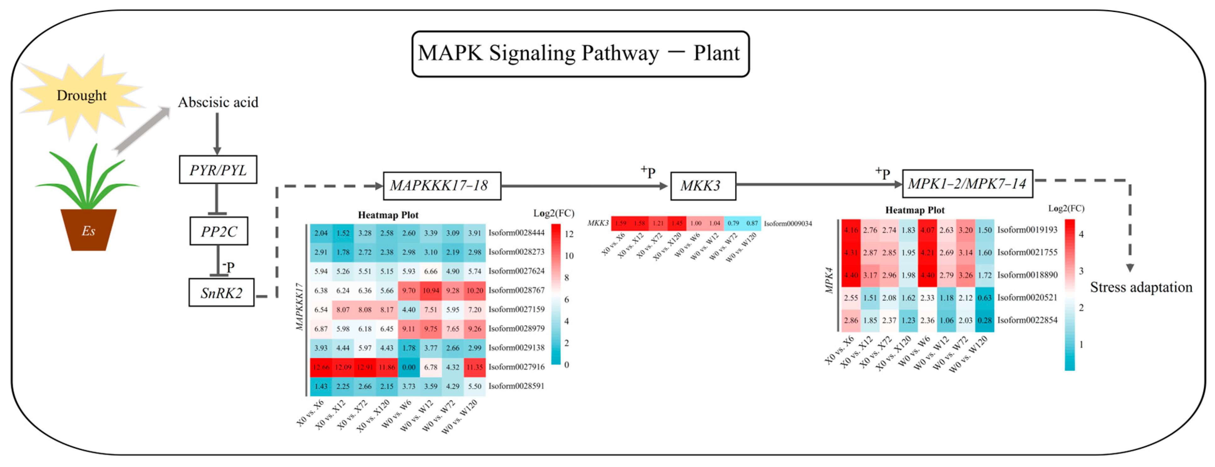 Plants 12 02719 g008