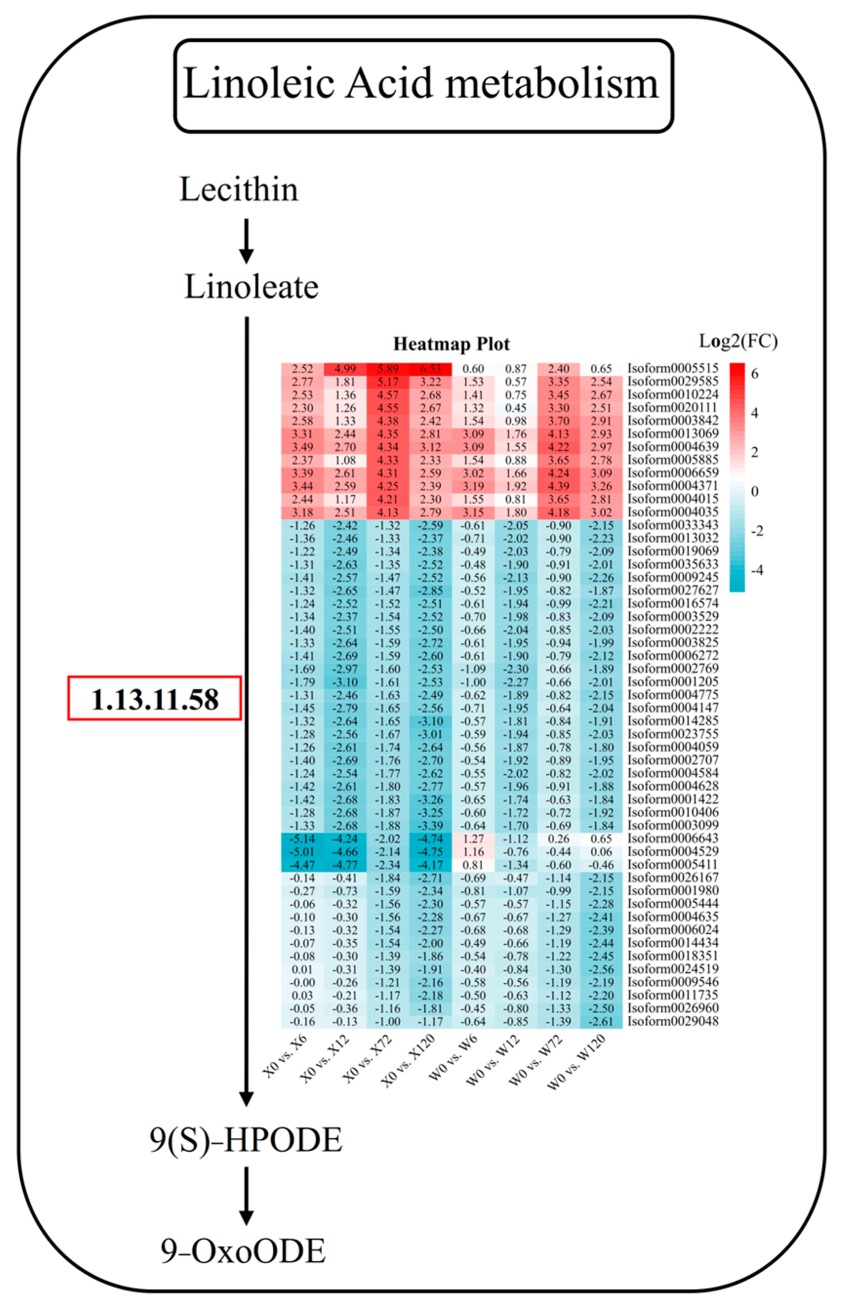 Plants 12 02719 g009