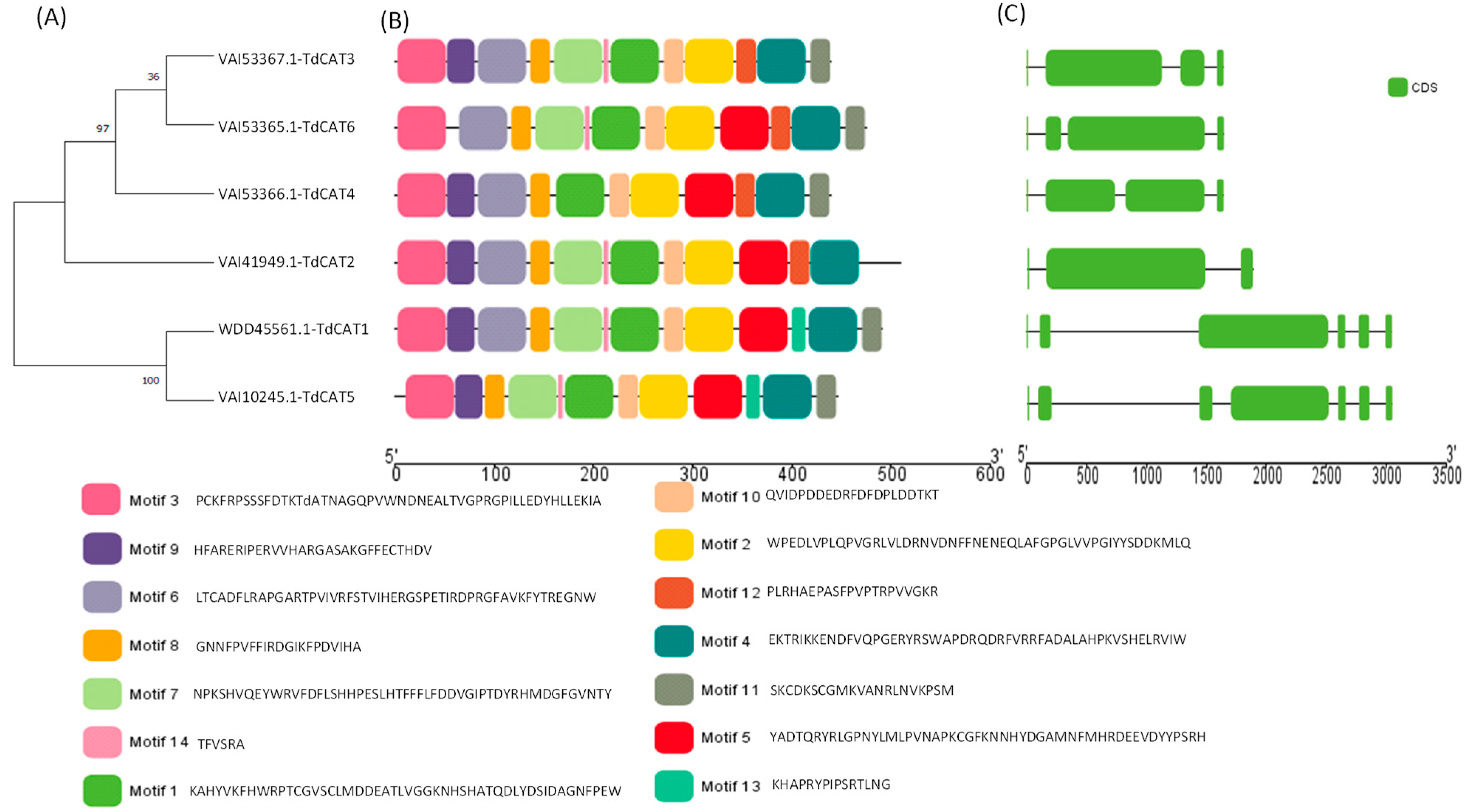 Plants 12 02720 g001