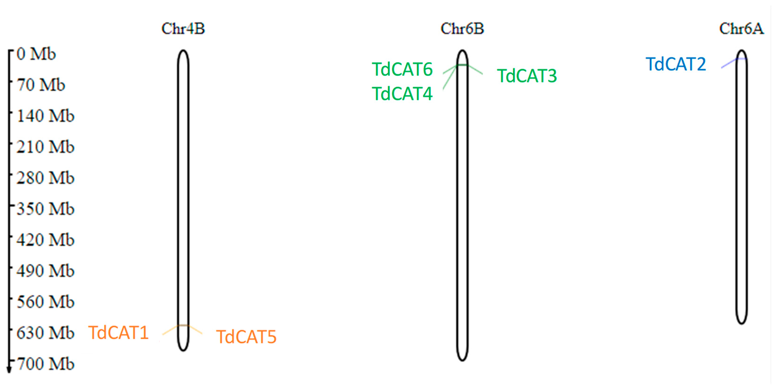 Plants 12 02720 g002