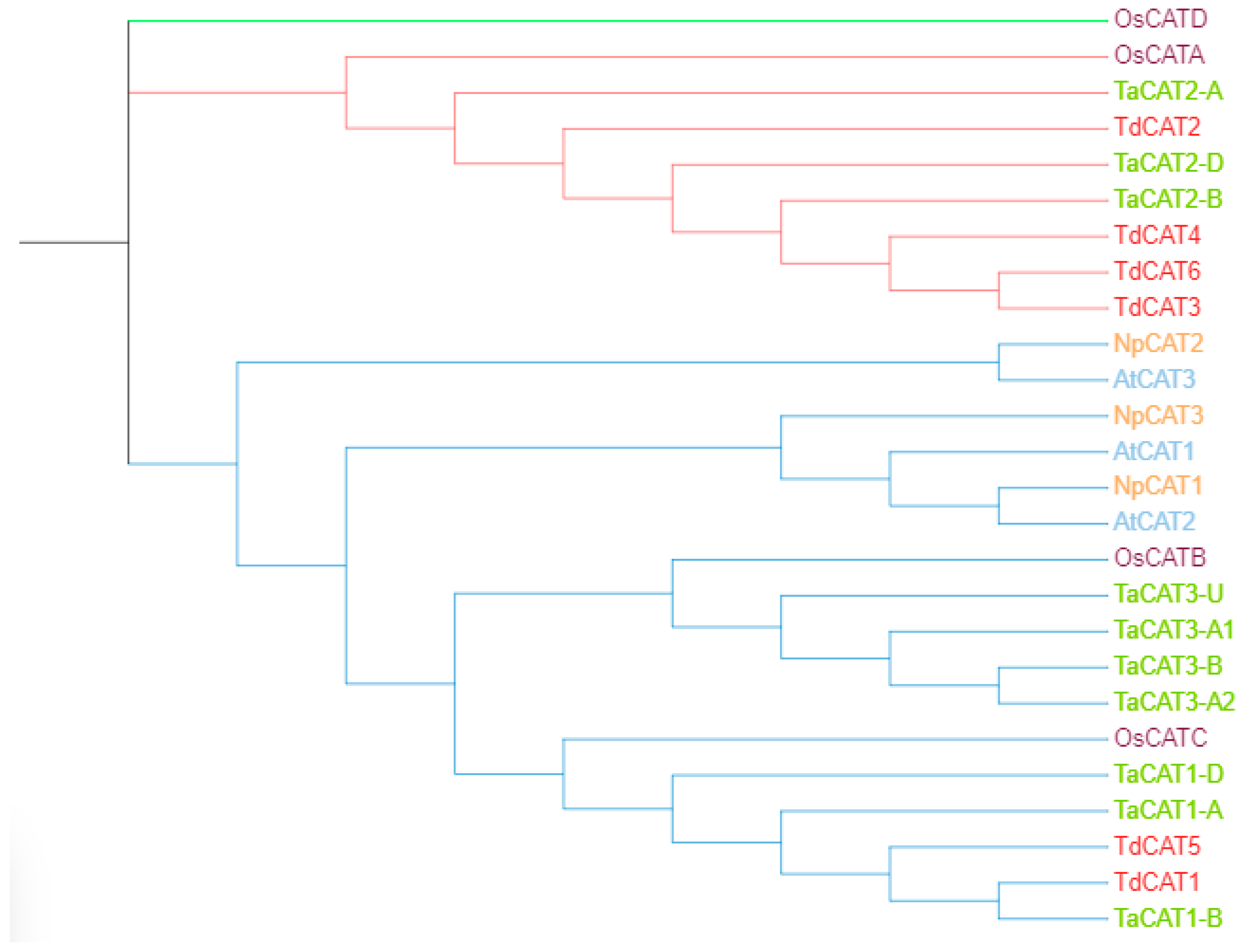 Plants 12 02720 g006