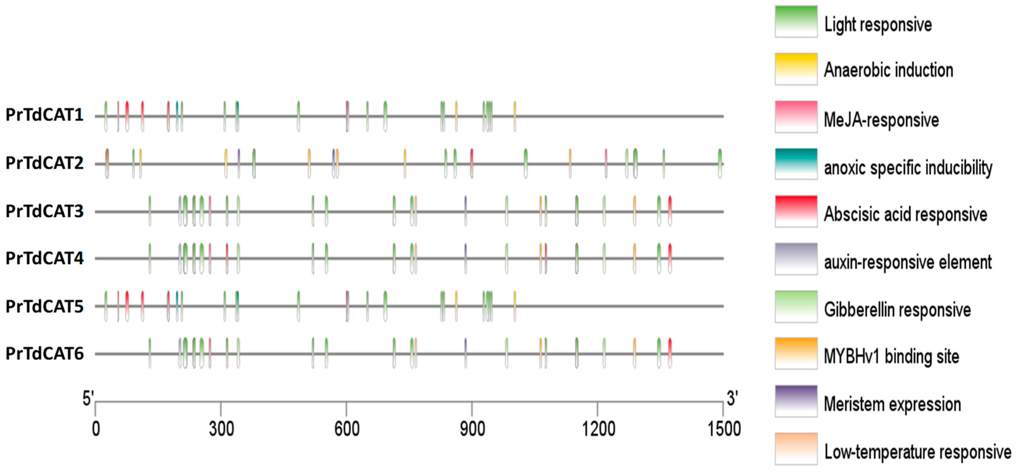 Plants 12 02720 g007