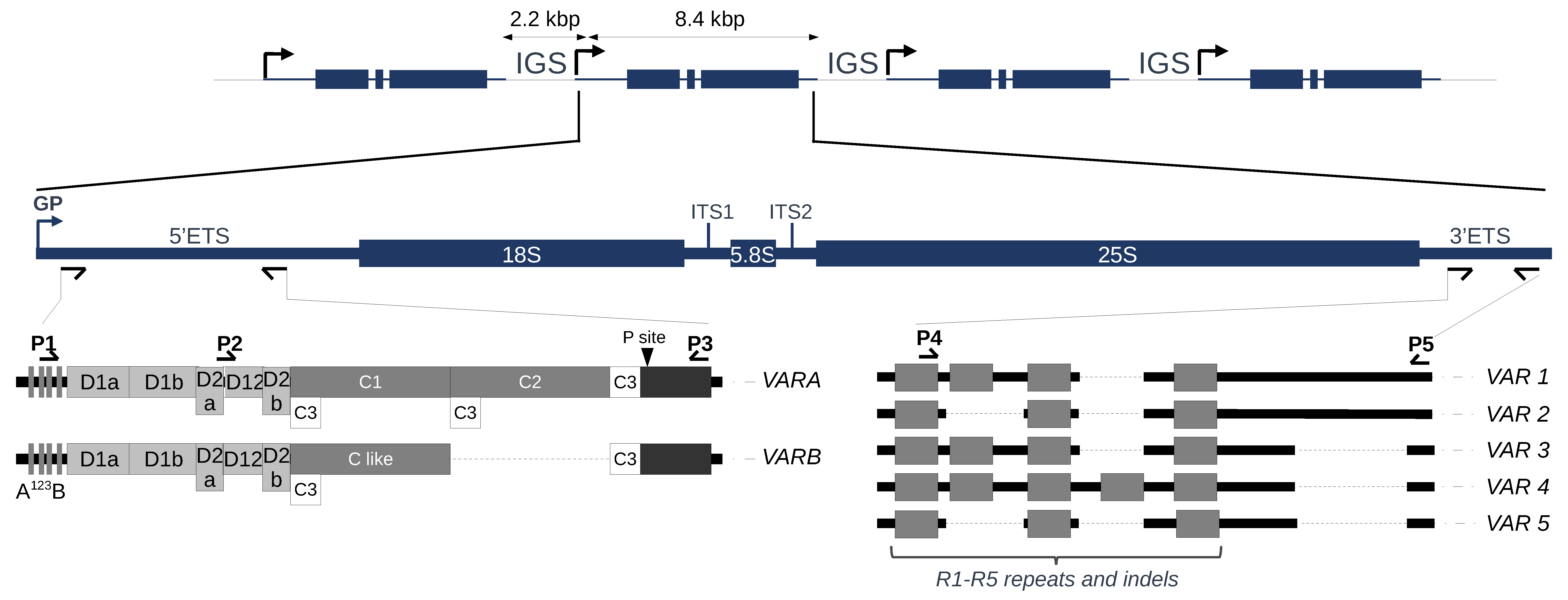 Plants 12 02722 g001 Plants 12 02722 g001