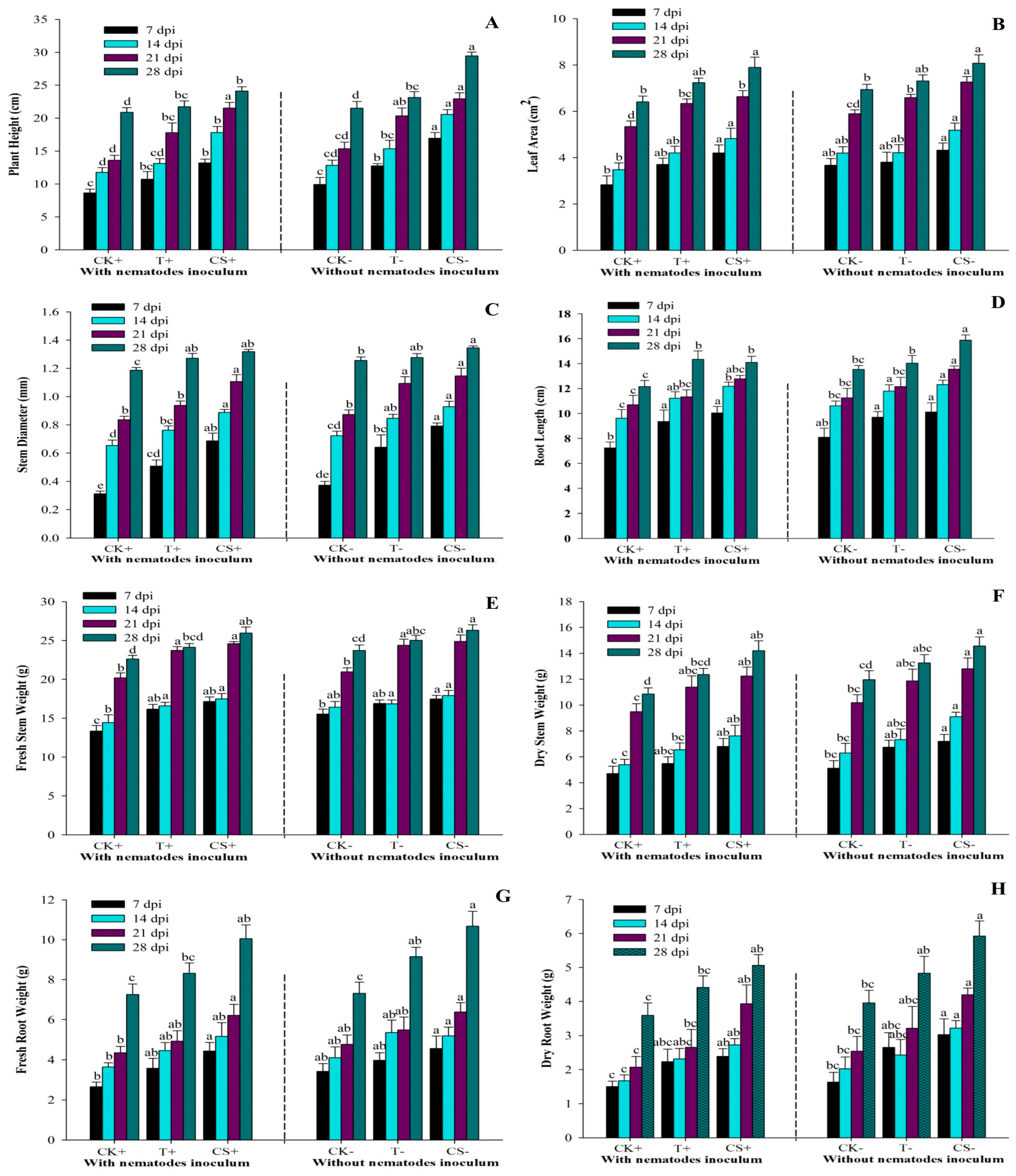 Plants 12 02724 g005