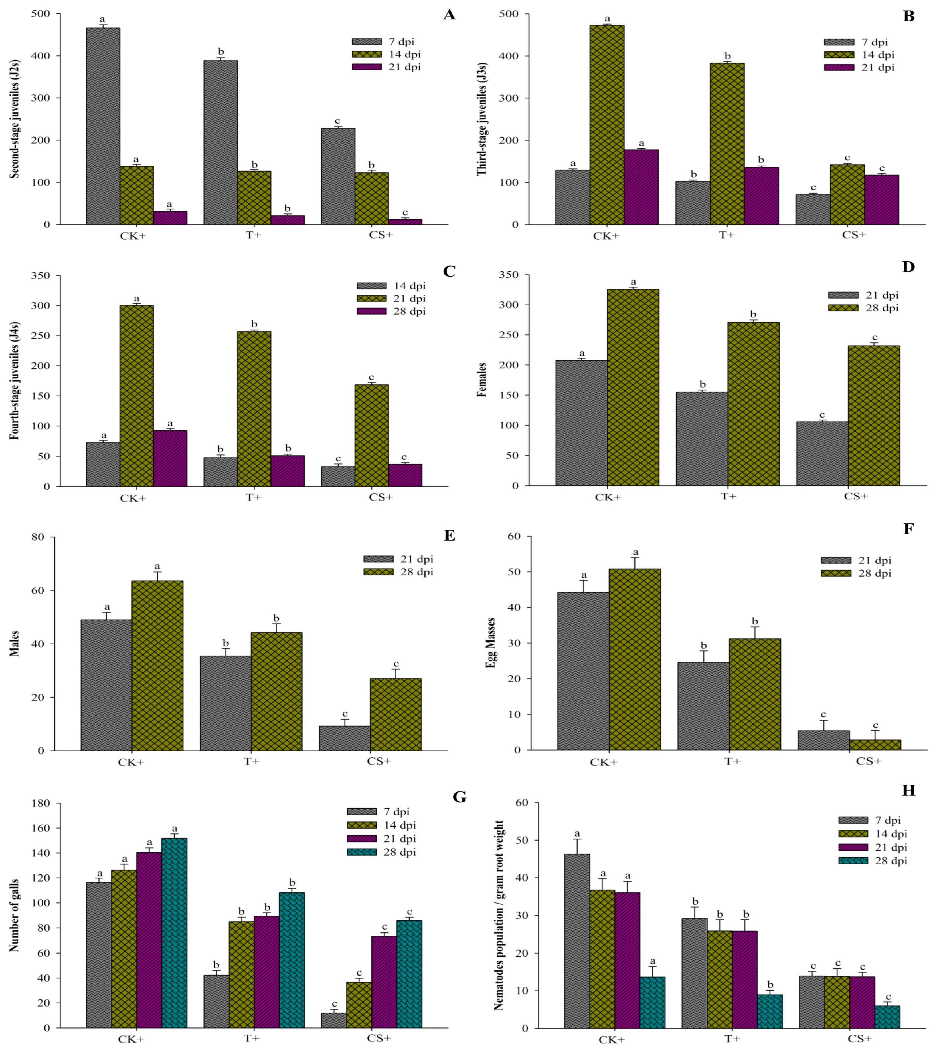 Plants 12 02724 g006