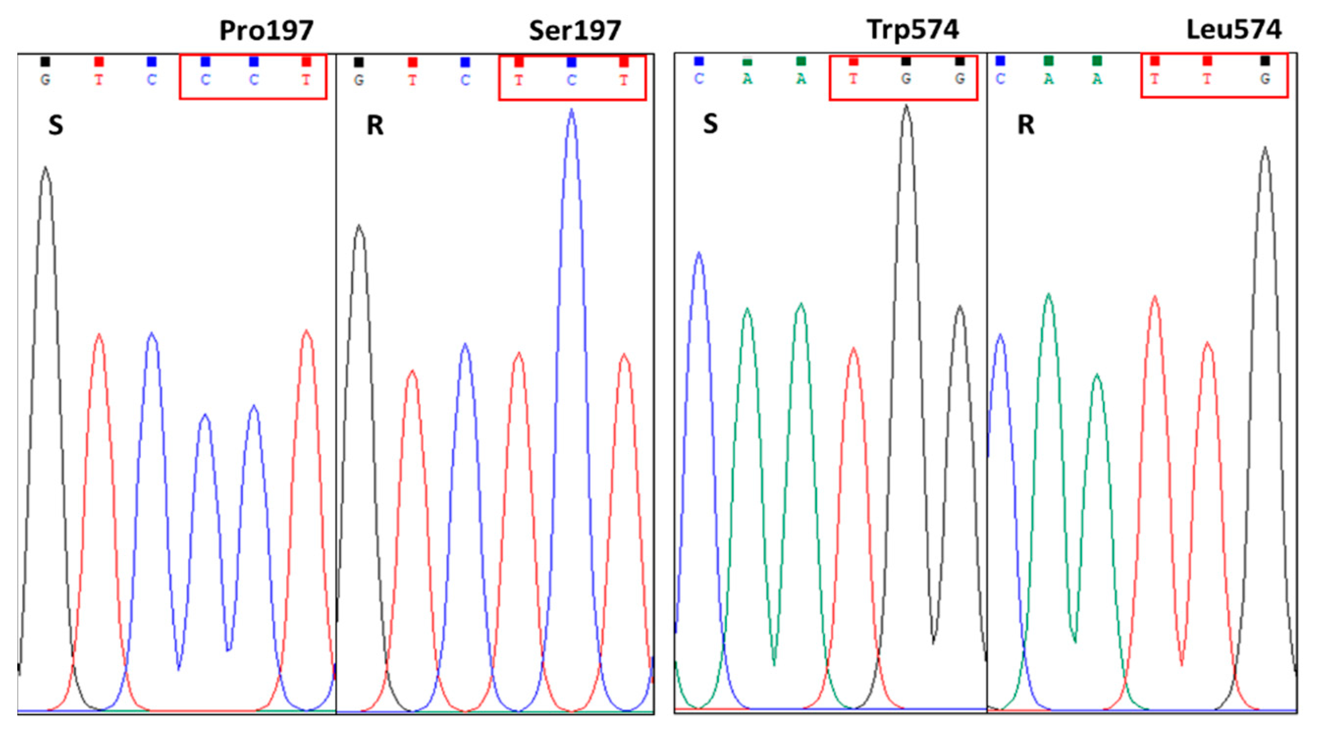Plants 12 02730 g002