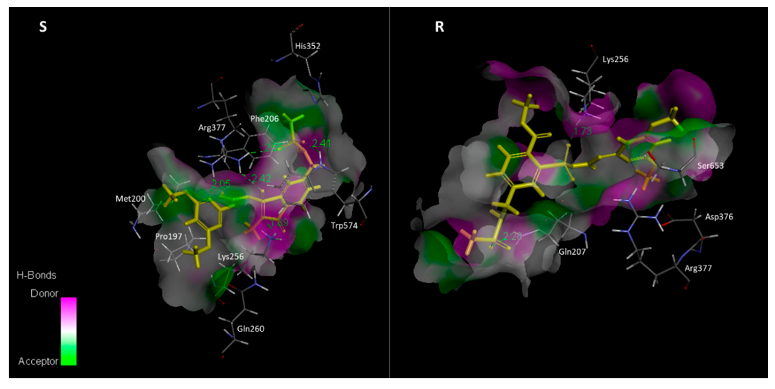 Plants 12 02730 g003