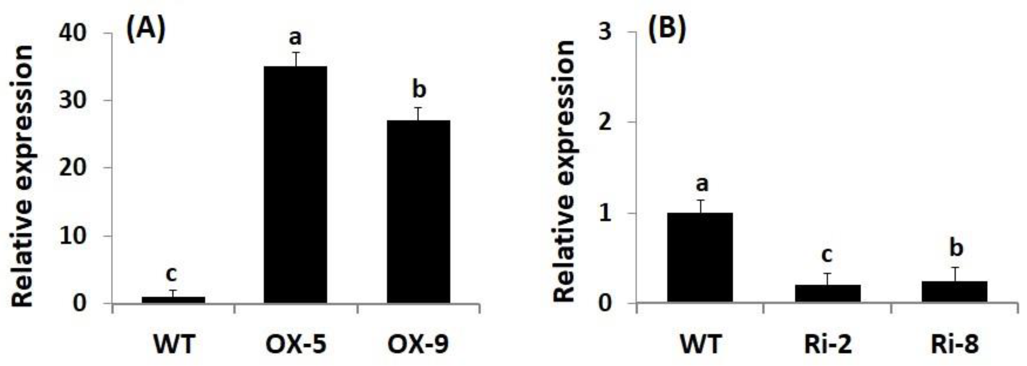 Plants 12 02731 g001