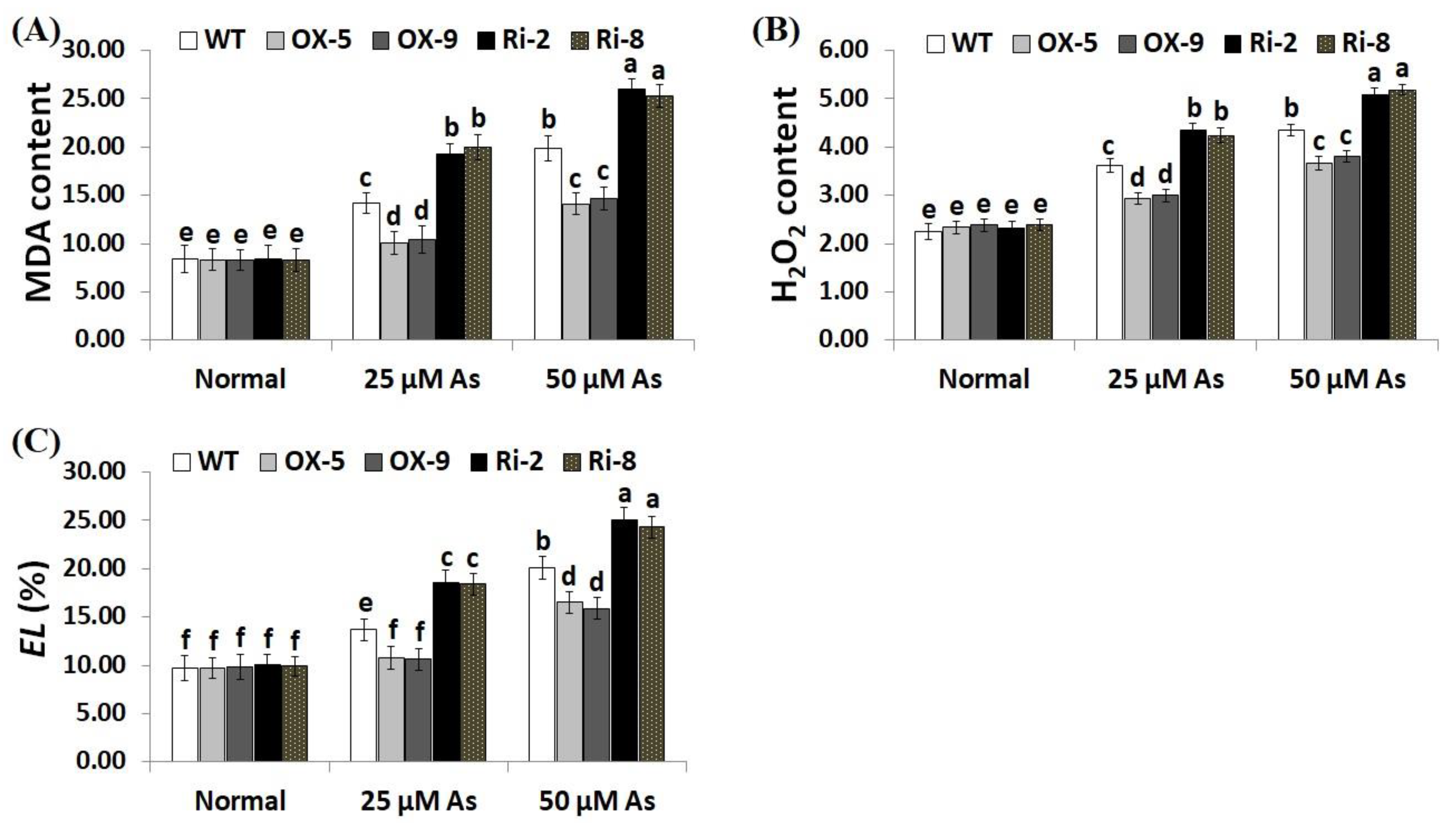 Plants 12 02731 g004