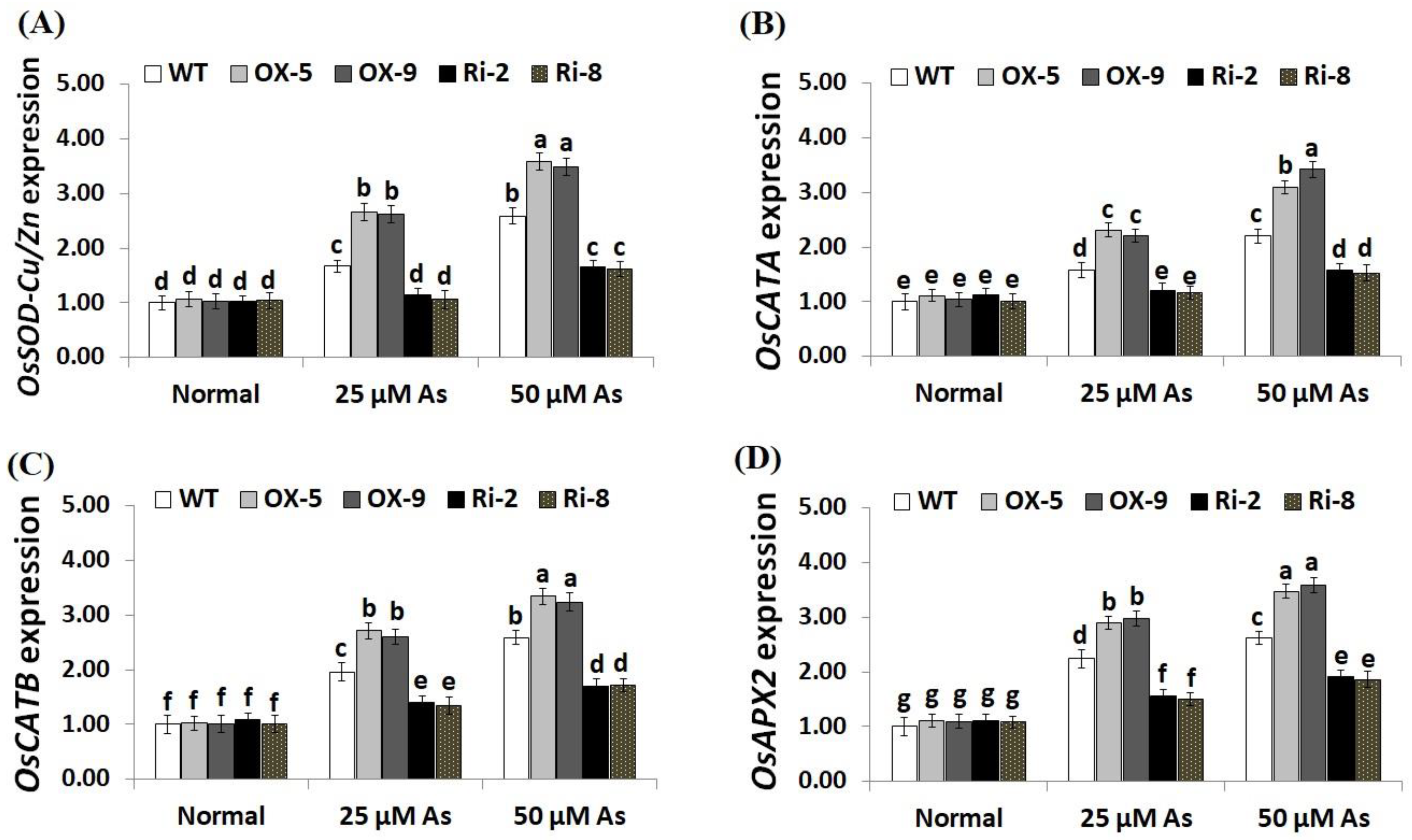 Plants 12 02731 g009