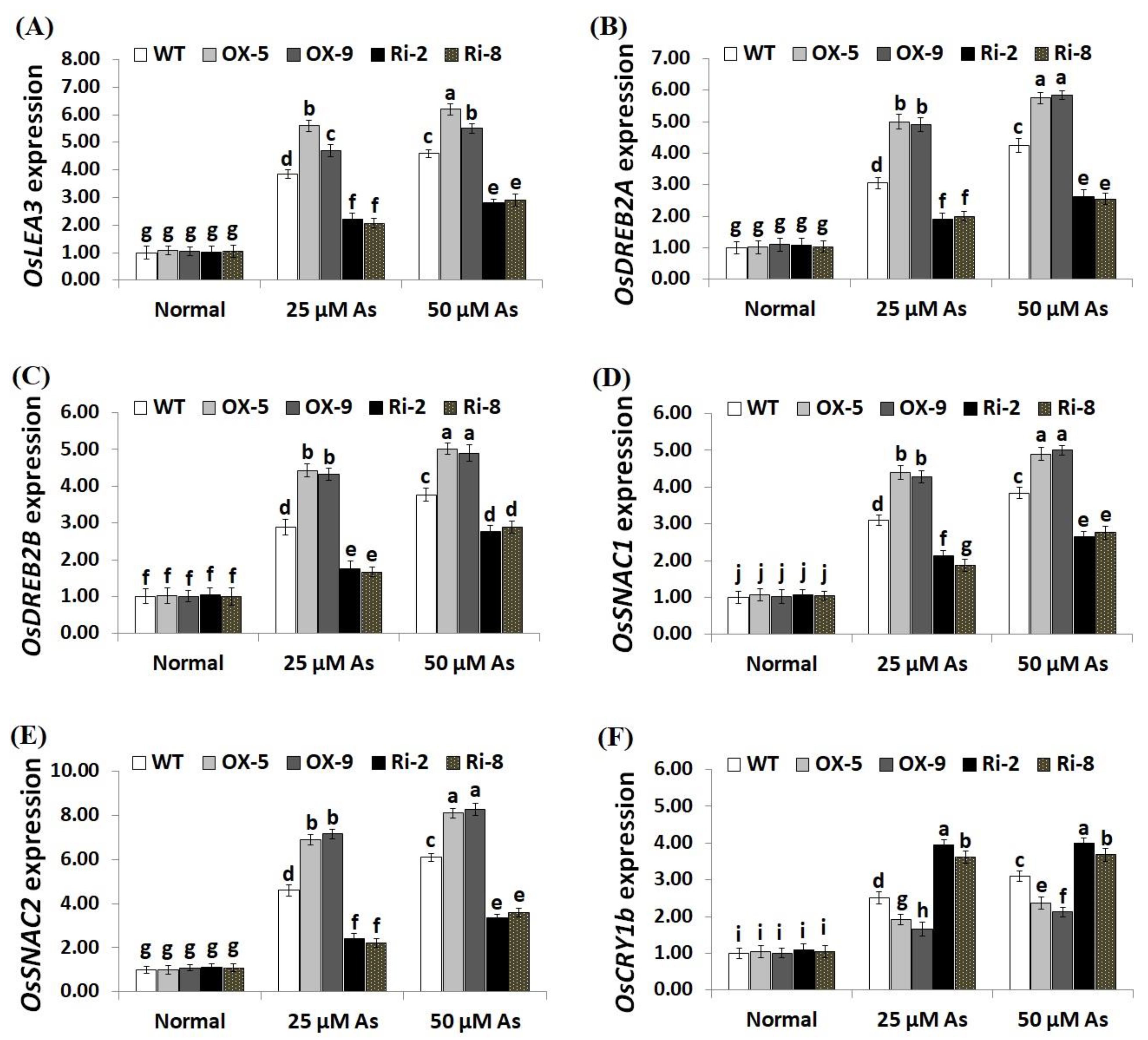 Plants 12 02731 g010