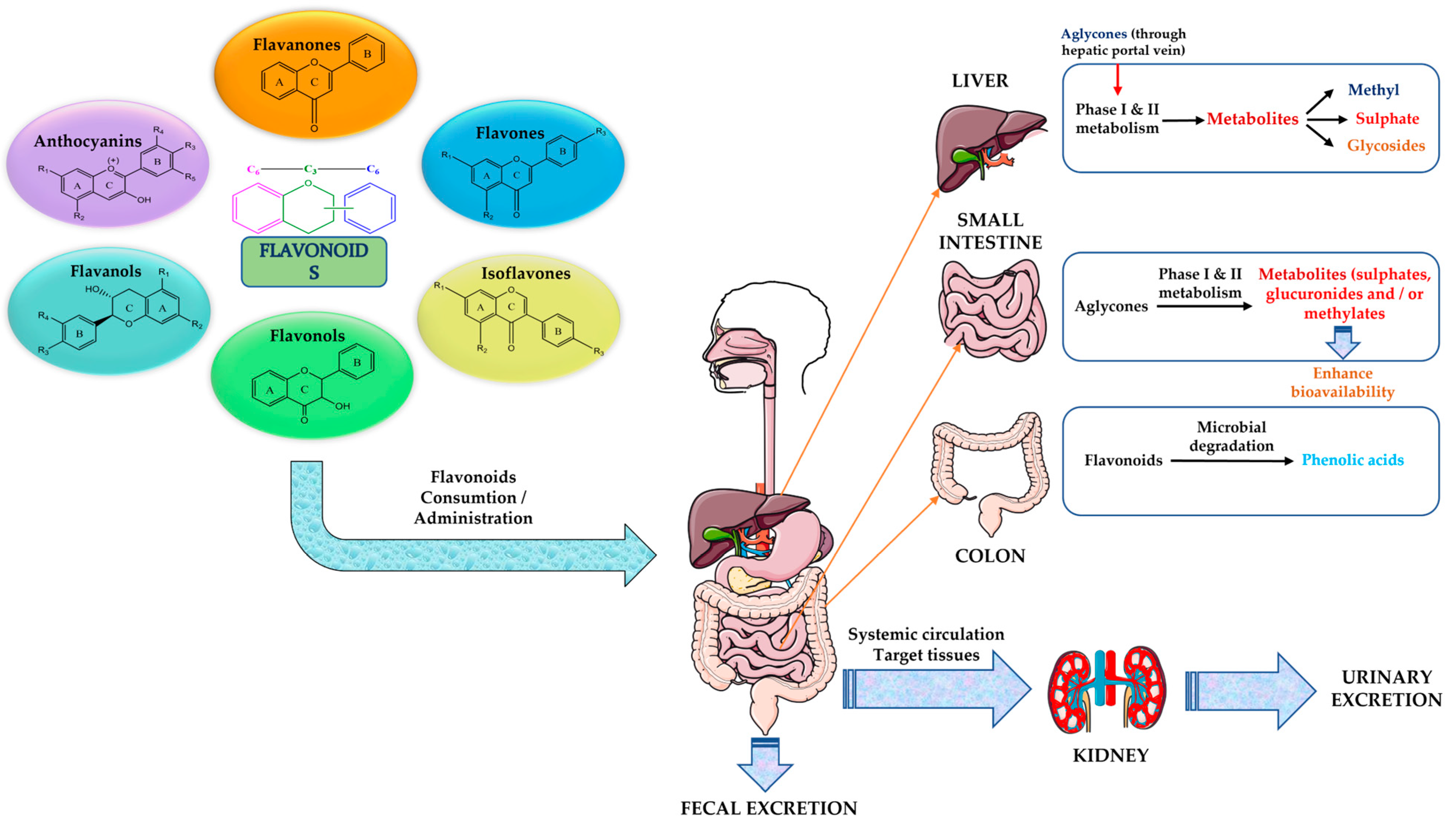Plants 12 02732 g009