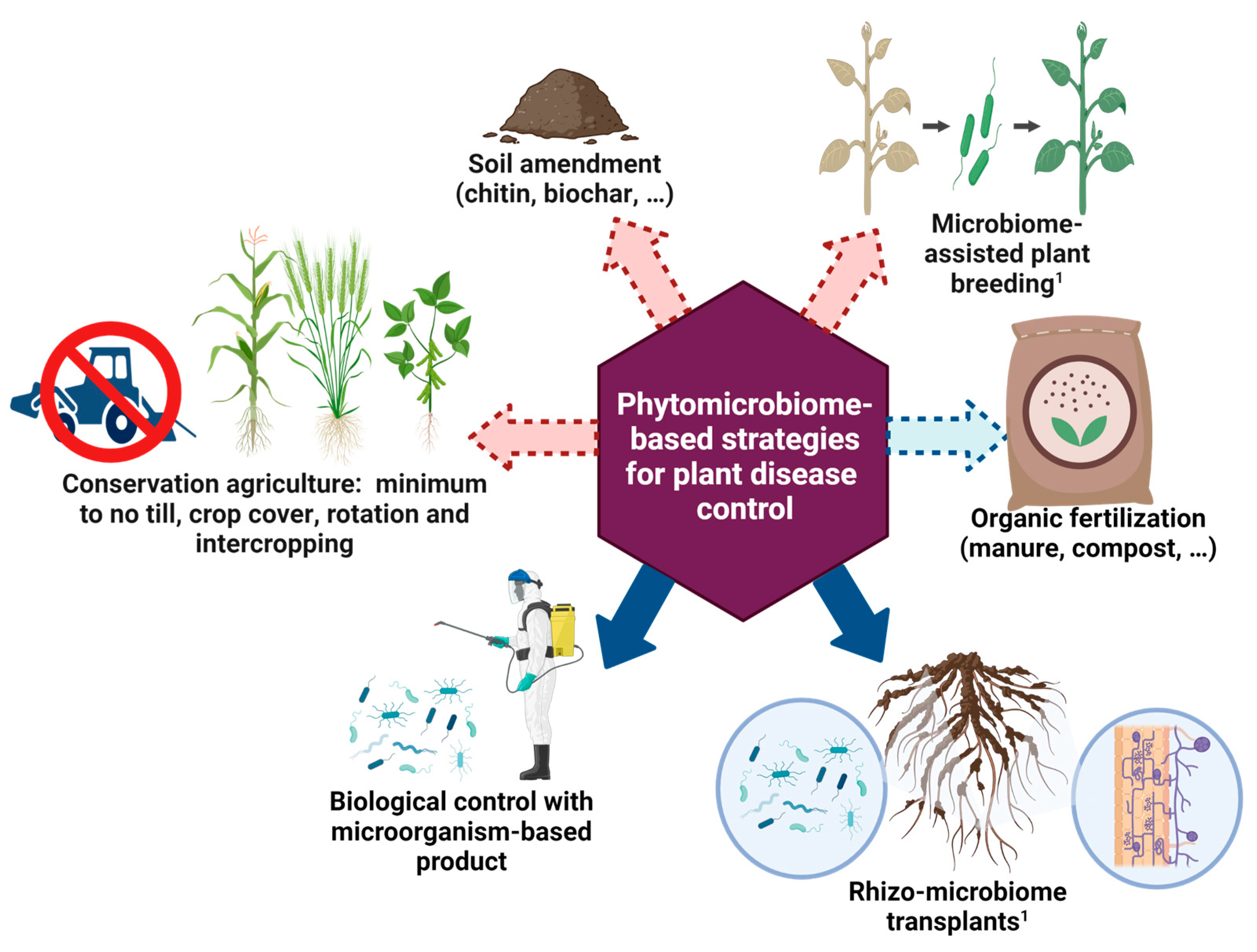 Soil and Phytomicrobiome for Plant Disease Suppression and Management ...