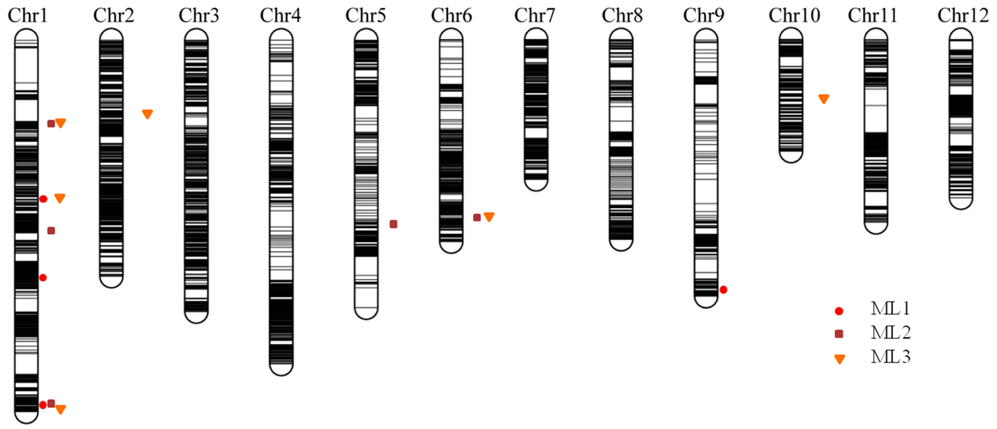 Plants 12 02743 g004