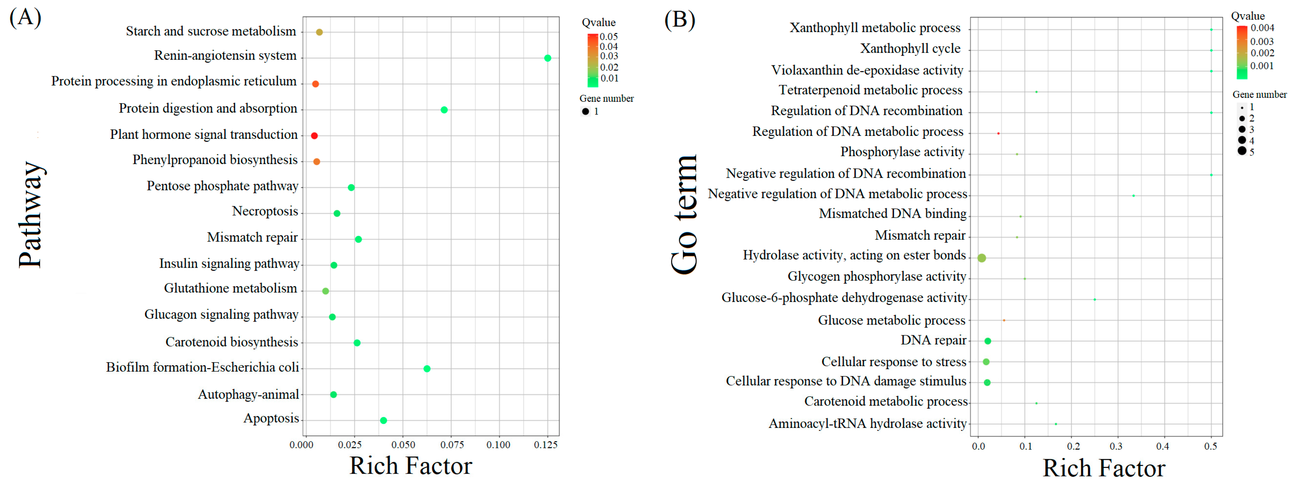 Plants 12 02756 g004