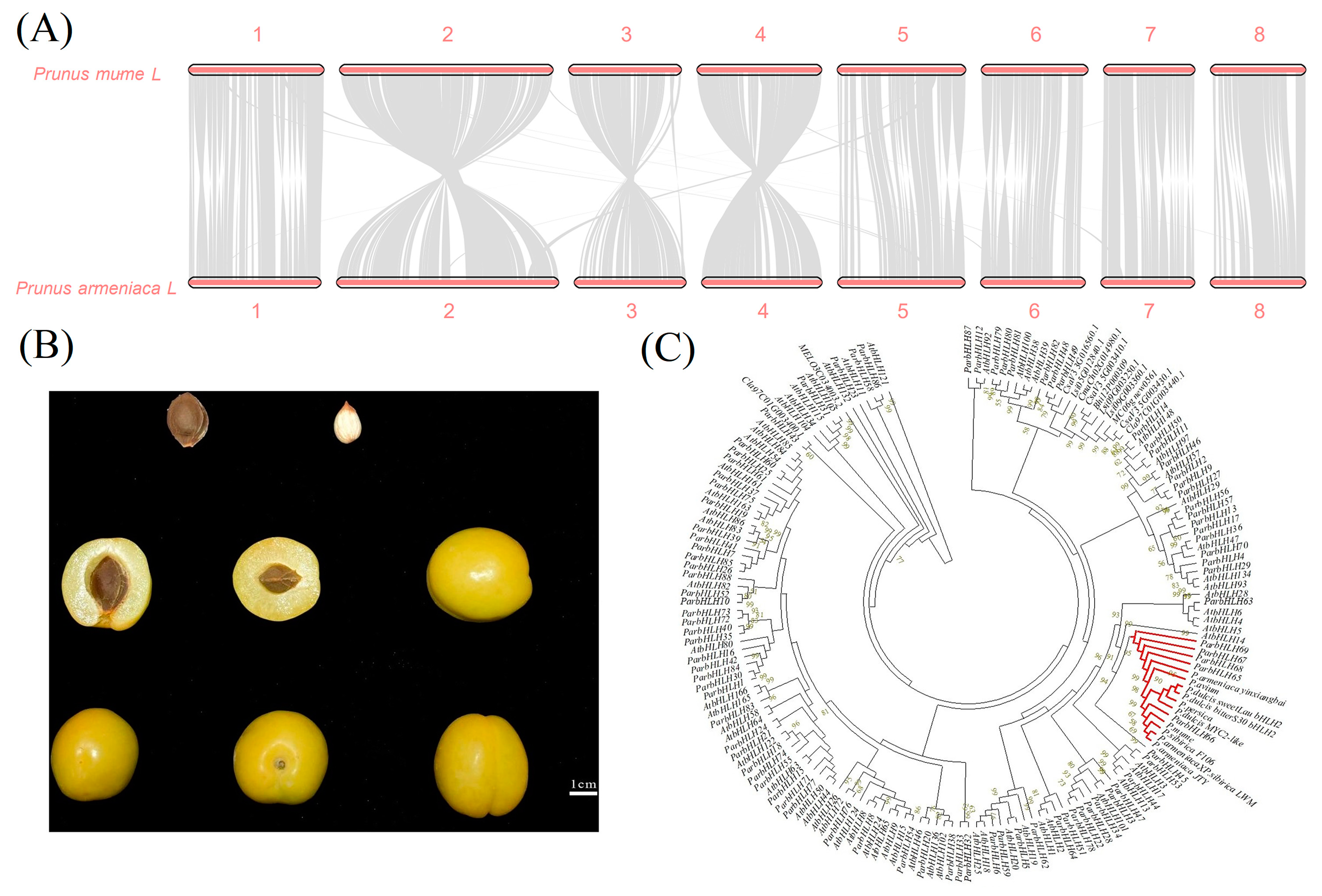 Plants 12 02756 g005